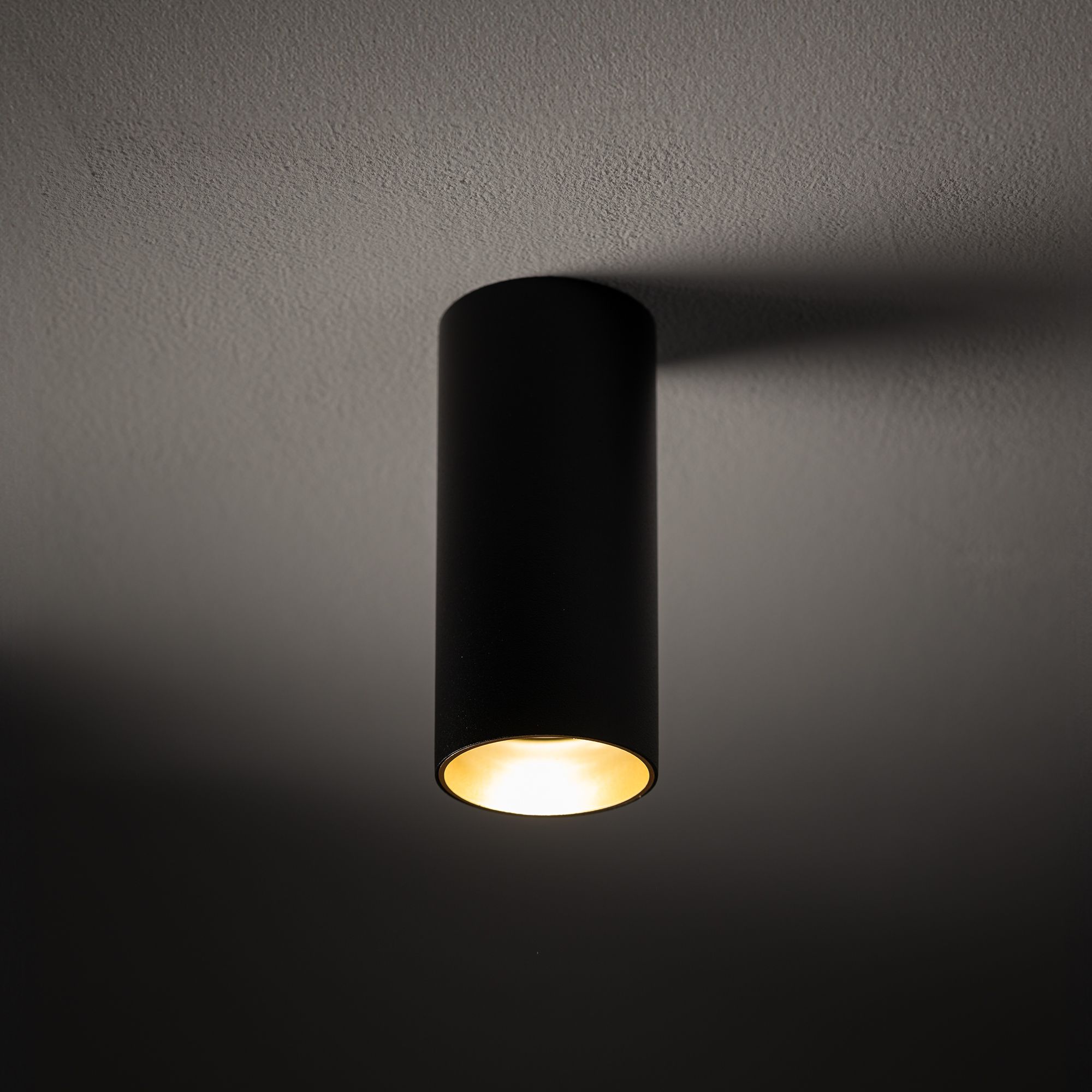 MONO S 10779