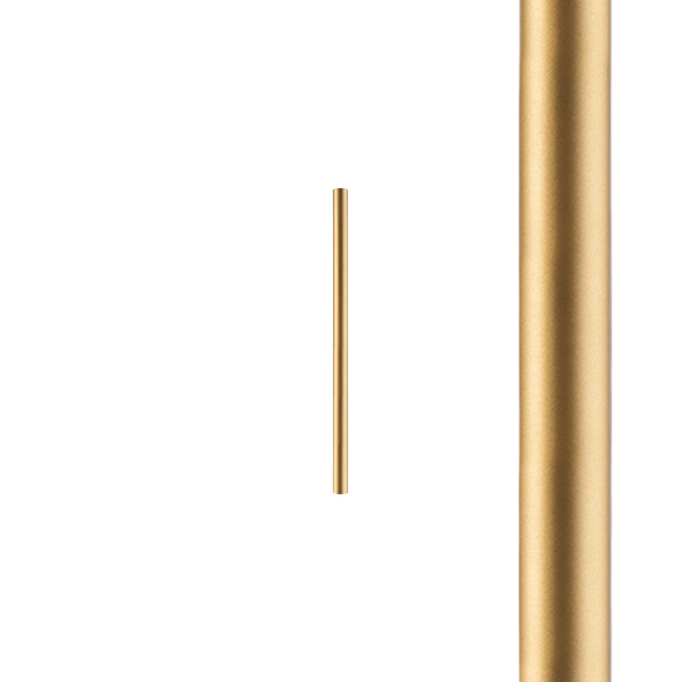 Cameleon LASER 490, 10248