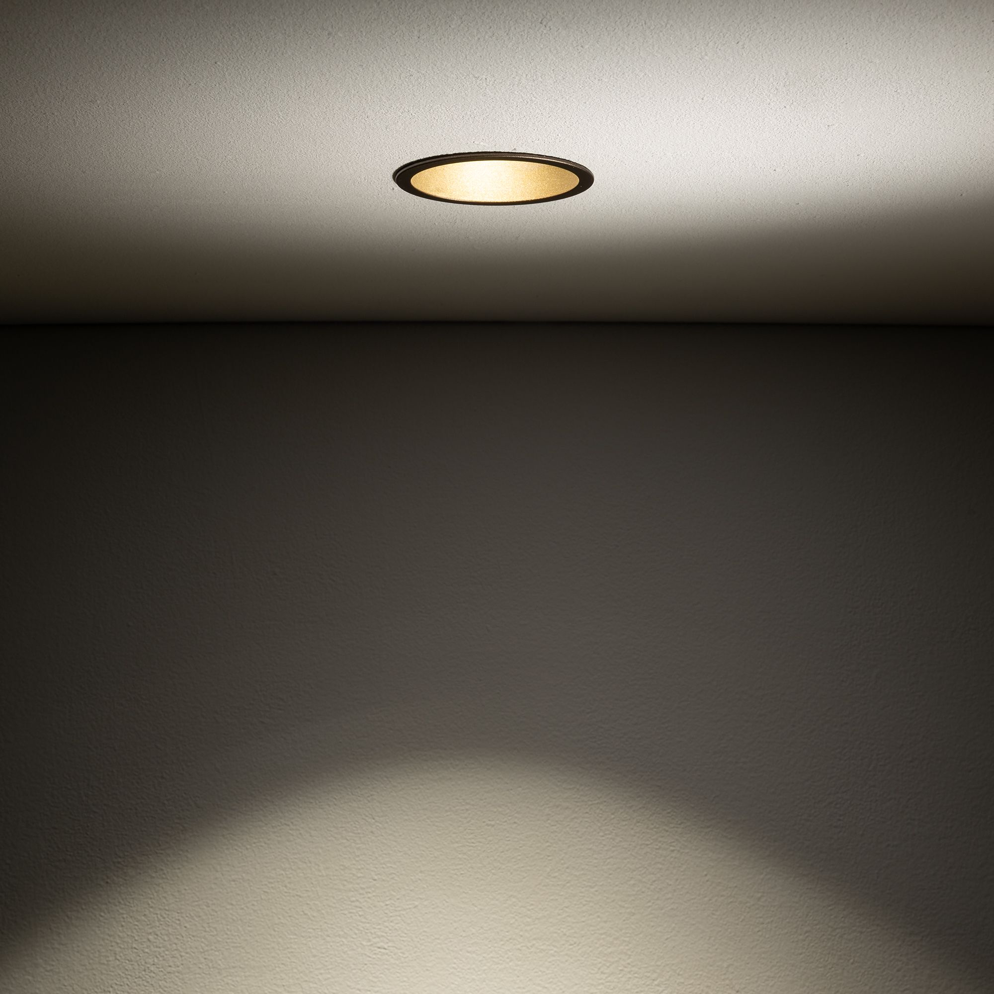 CUP 10790