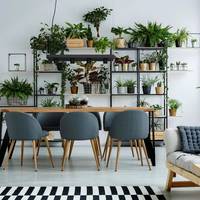 PLANT BLACK 9381, h=160 cm