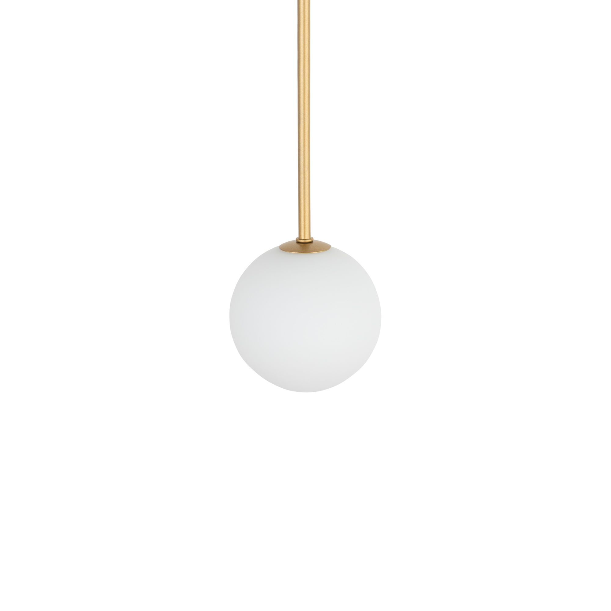KIER  L GOLD 10308, h=140 cm