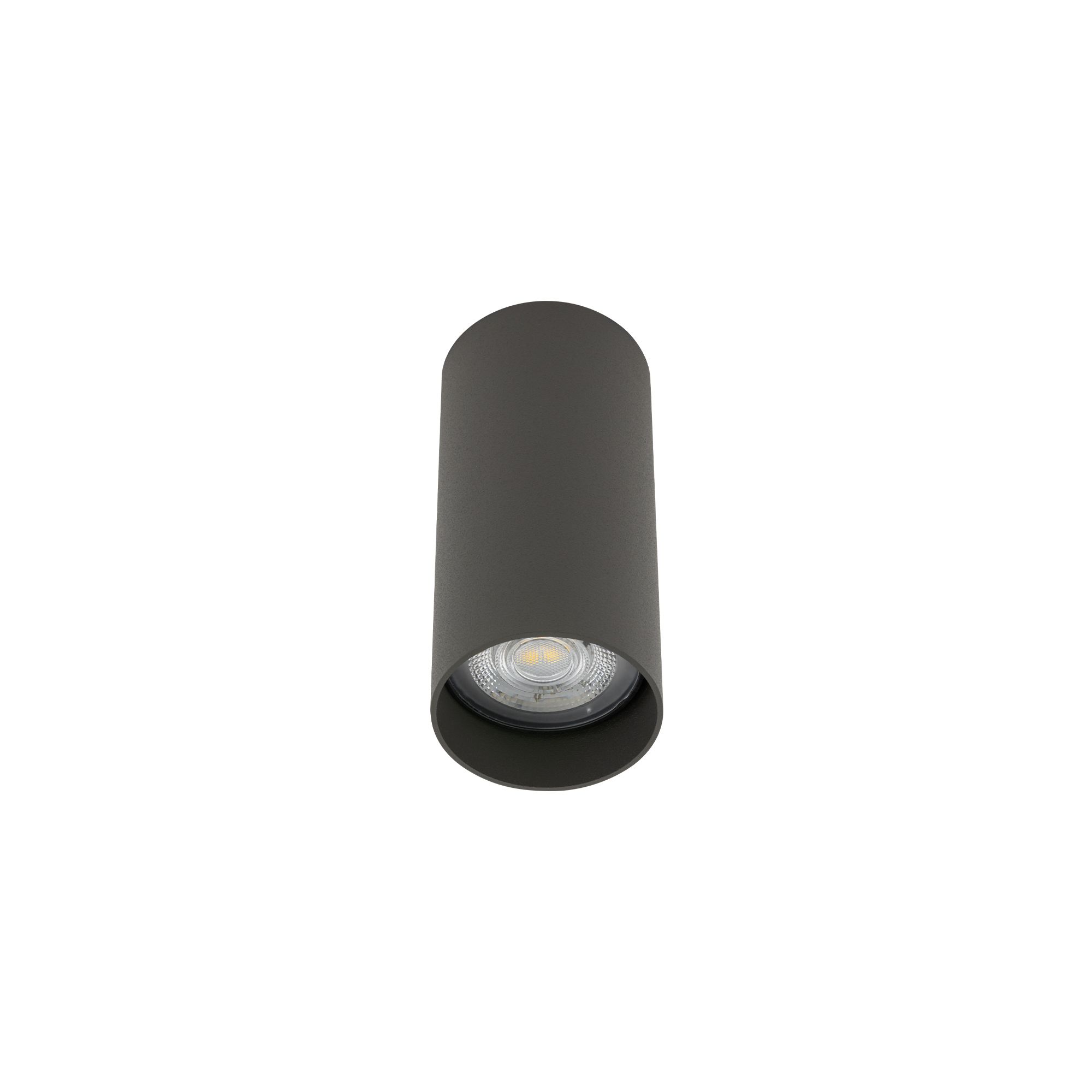 MONO S 10786