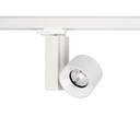 CTLS NEA LED WHITE 20W, 4000K 8756 3F