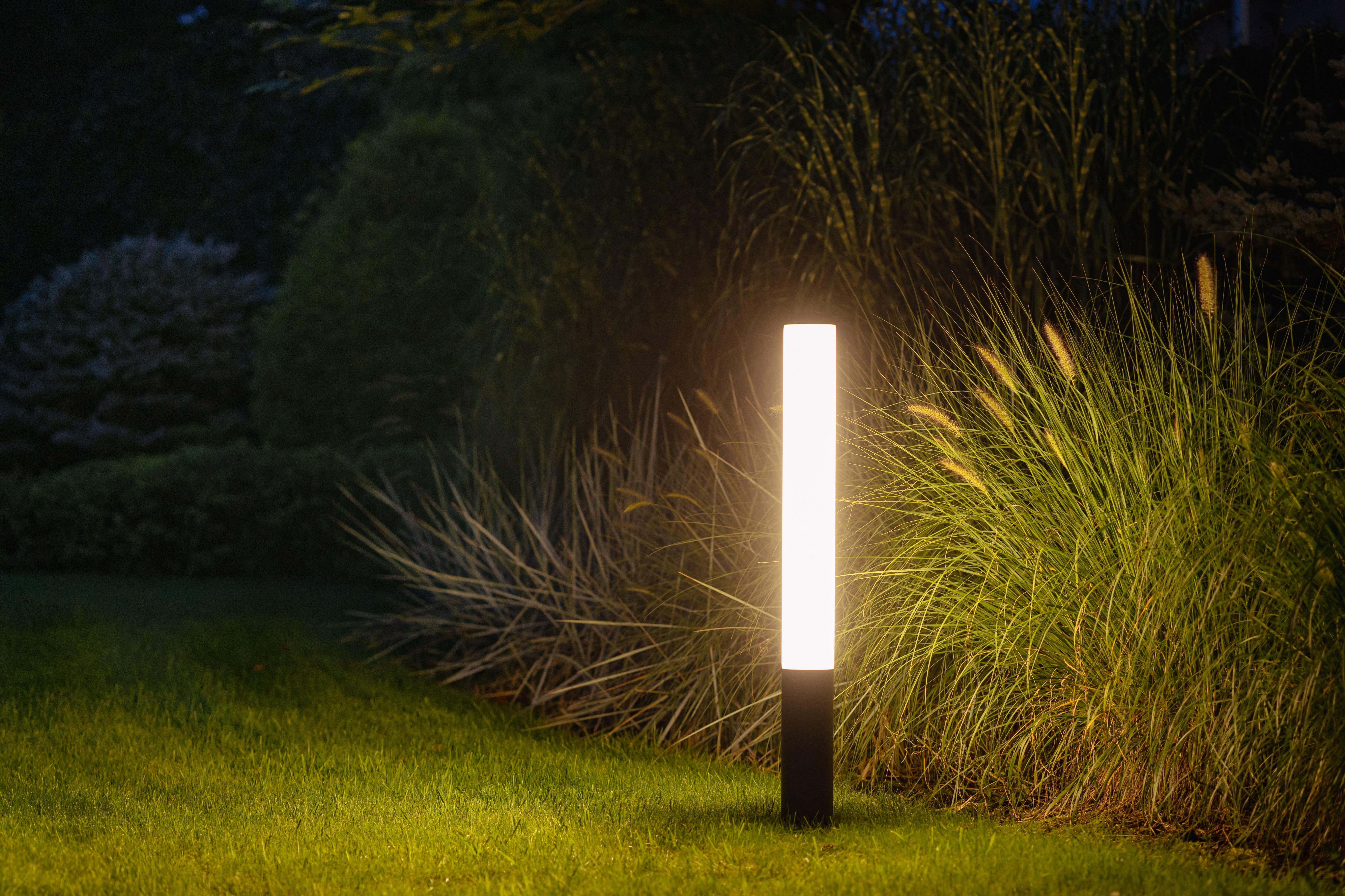 MIA LED M 11374-2