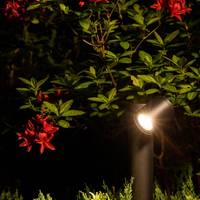 TUBINGS I stojaca 8158