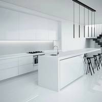 CAMELEON LASER 490 BL 8572, h=49 cm