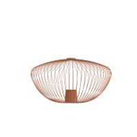 CAMELEON PUMPKIN M 12038