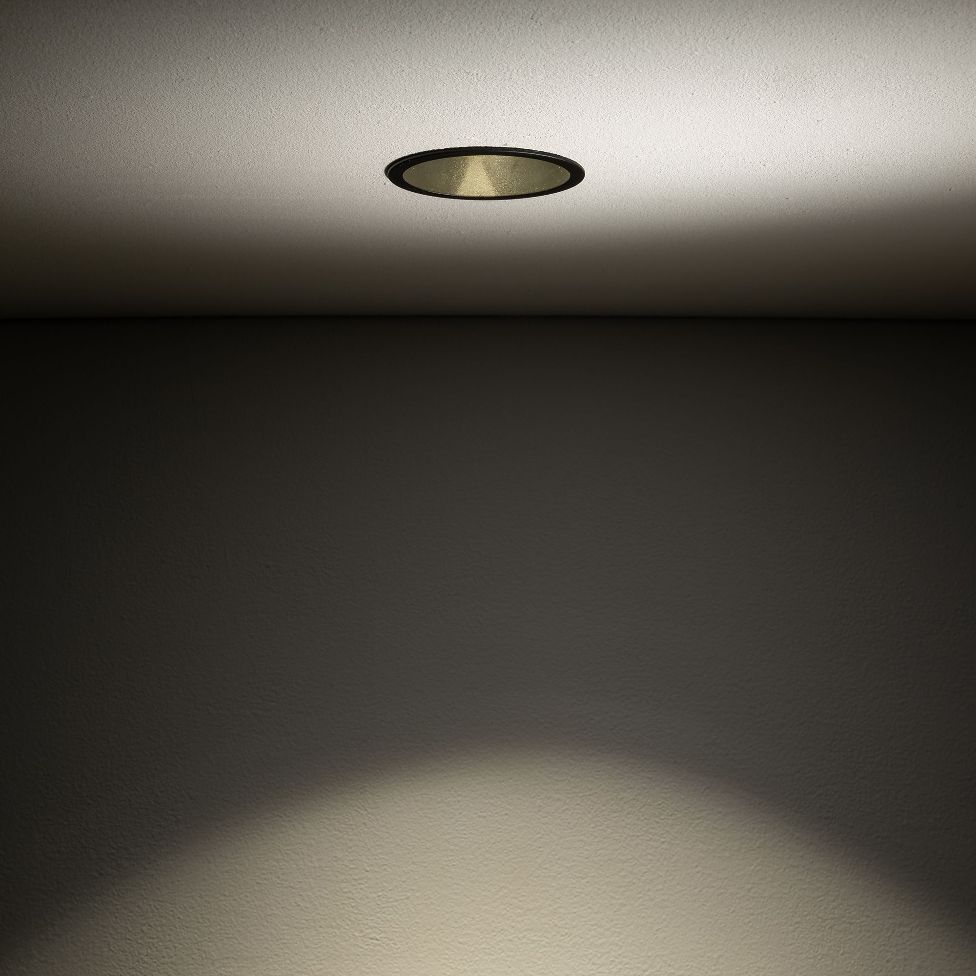 CUP 10789