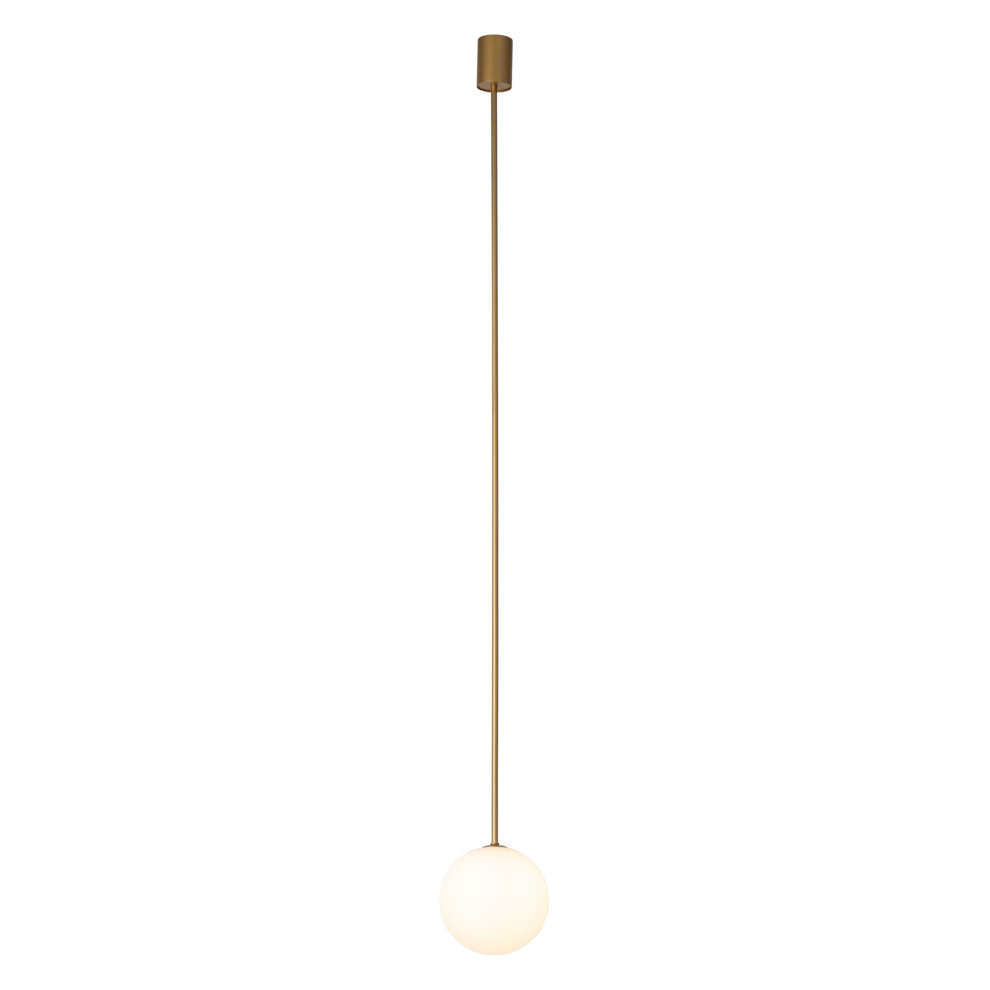 KIER  L GOLD 10308, h=140 cm