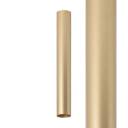 CAMELEON FOURTY M 12142