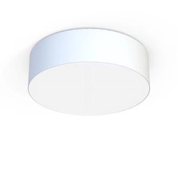 CAMERON WHITE IV 9606, ø=65 cm-0