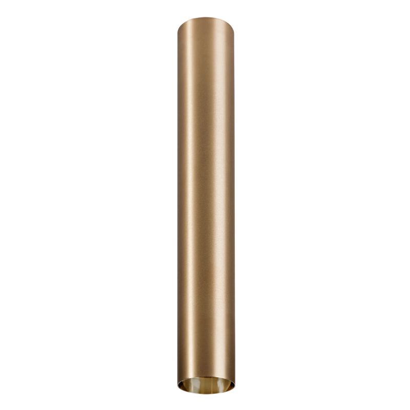 CAMELEON EYE L BS 8484, h=40 cm