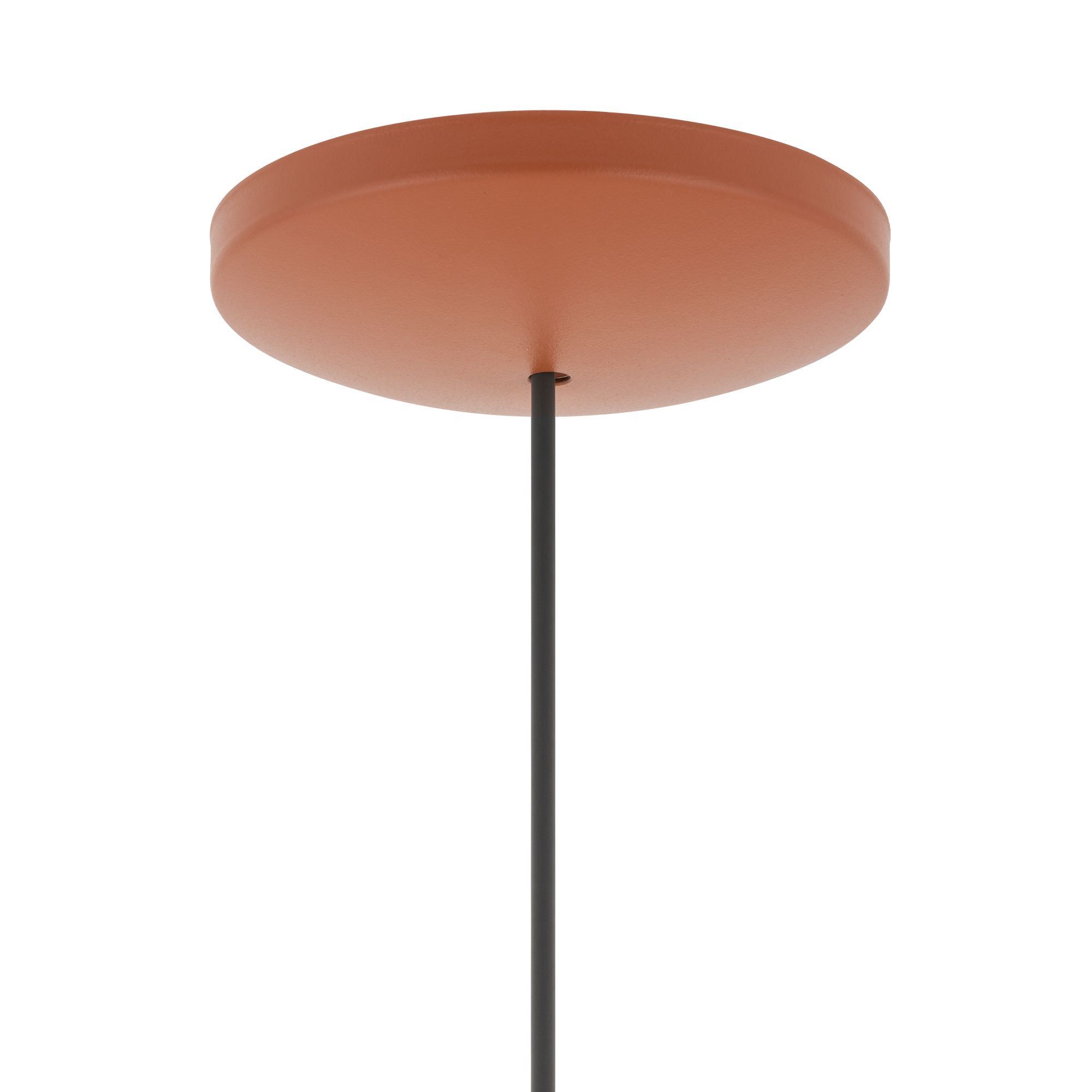 PUMPKIN L 11494