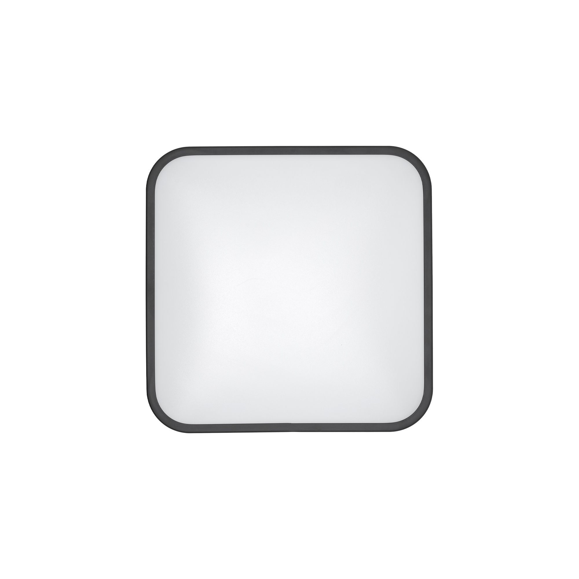 AGNES SQUARE LED PRO 10984