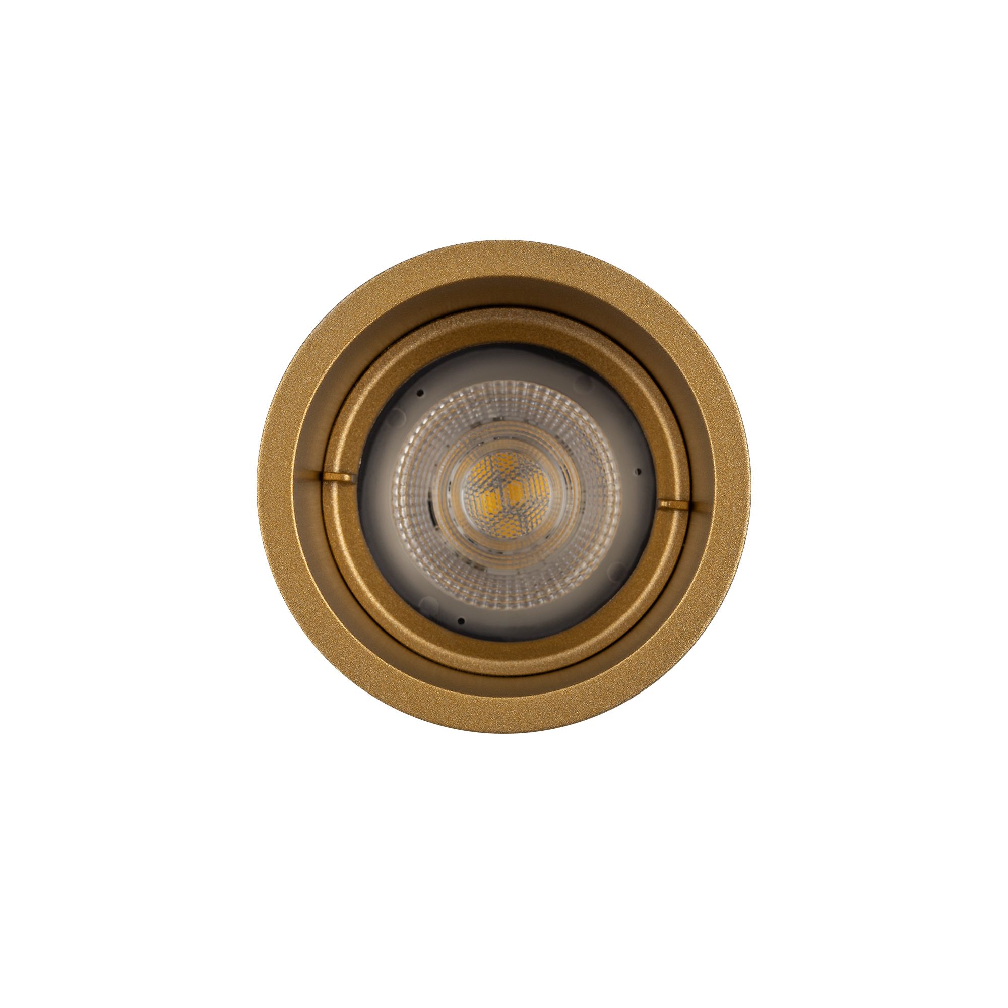 CUP 10791