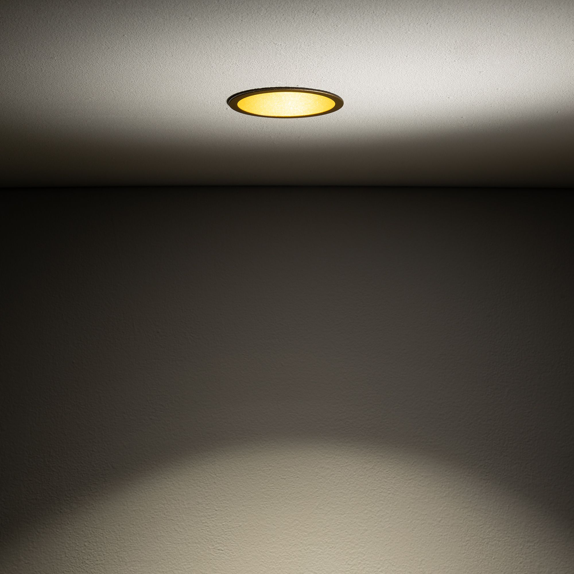 CUP 10791