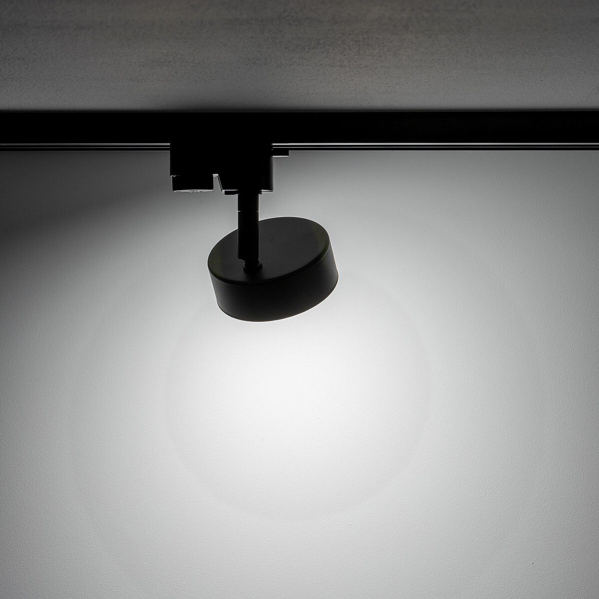 PROFILE PUCK 10358