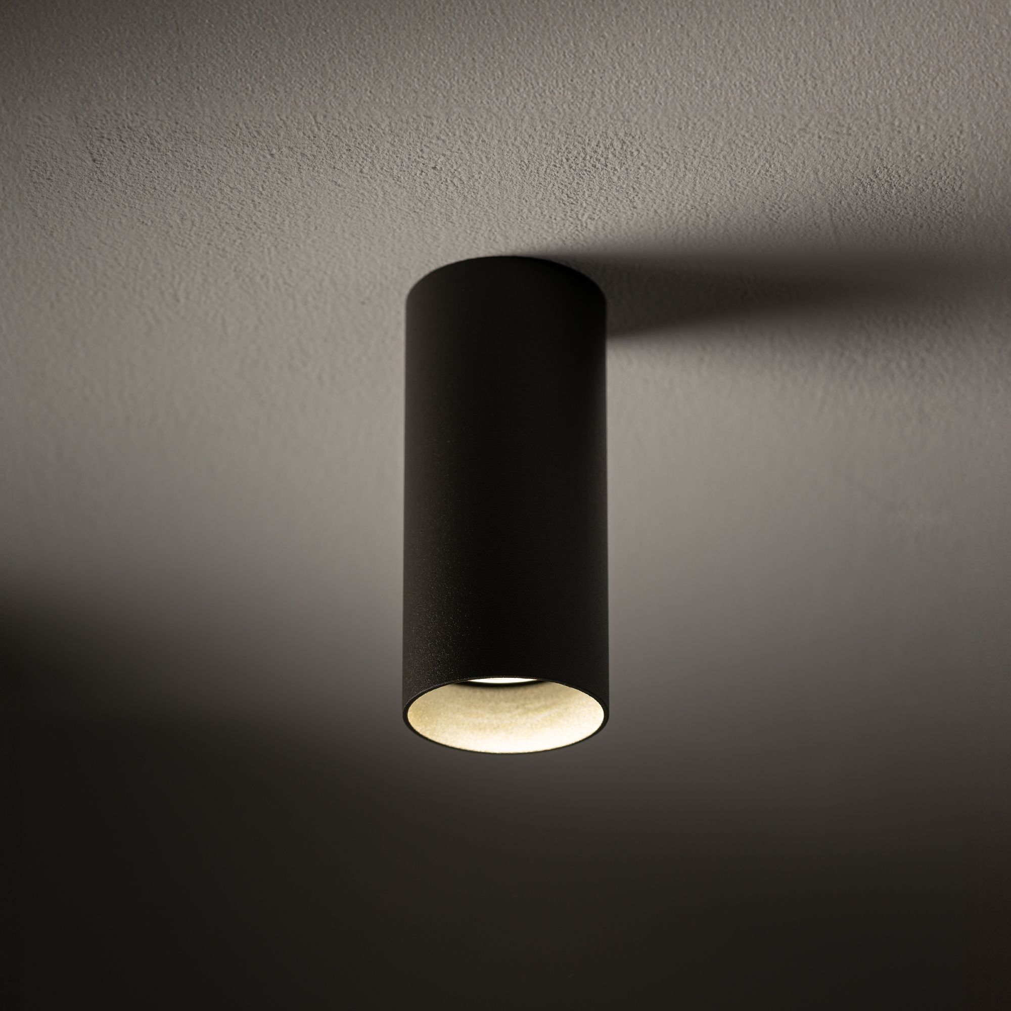MONO S 10786