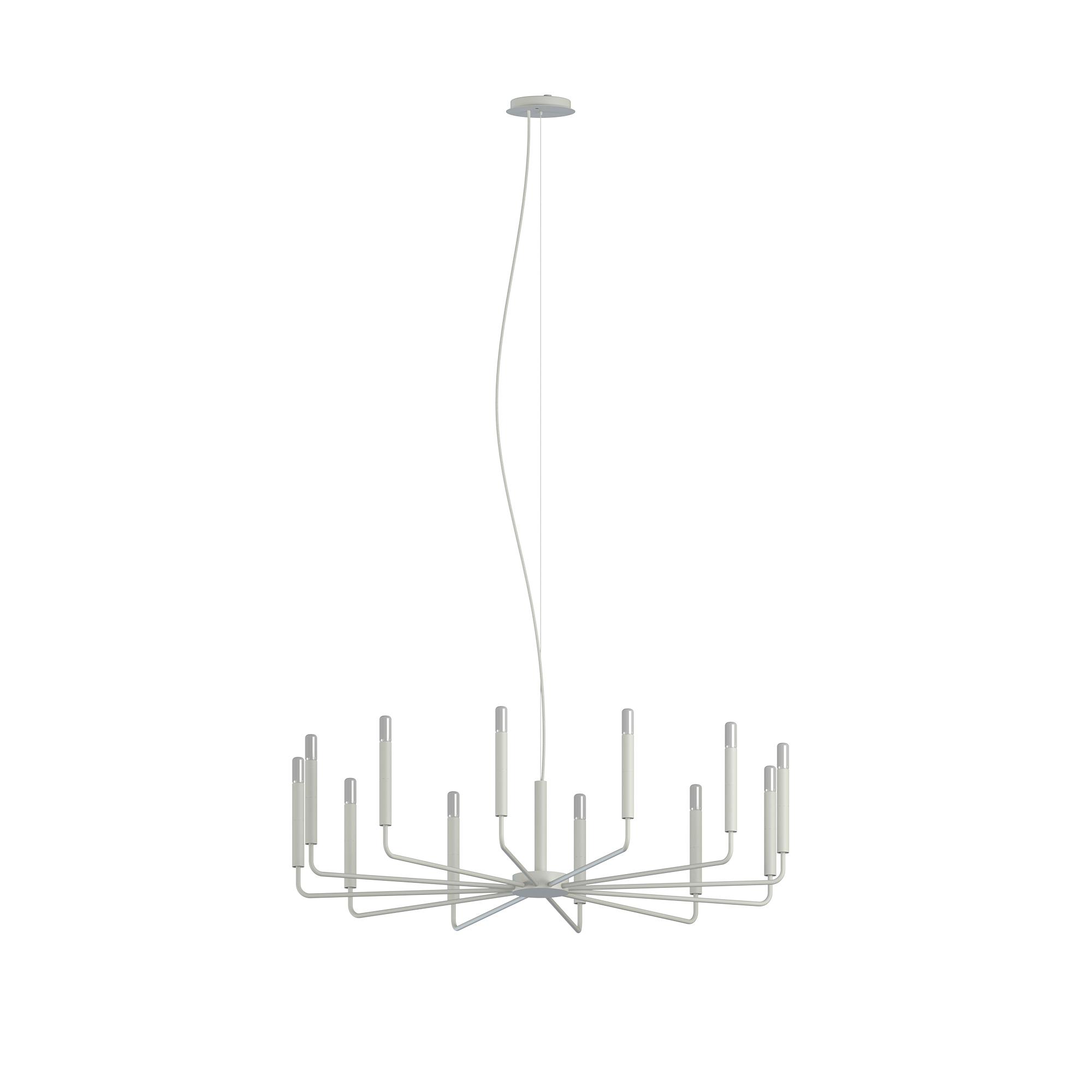 ORTO B 11465-0