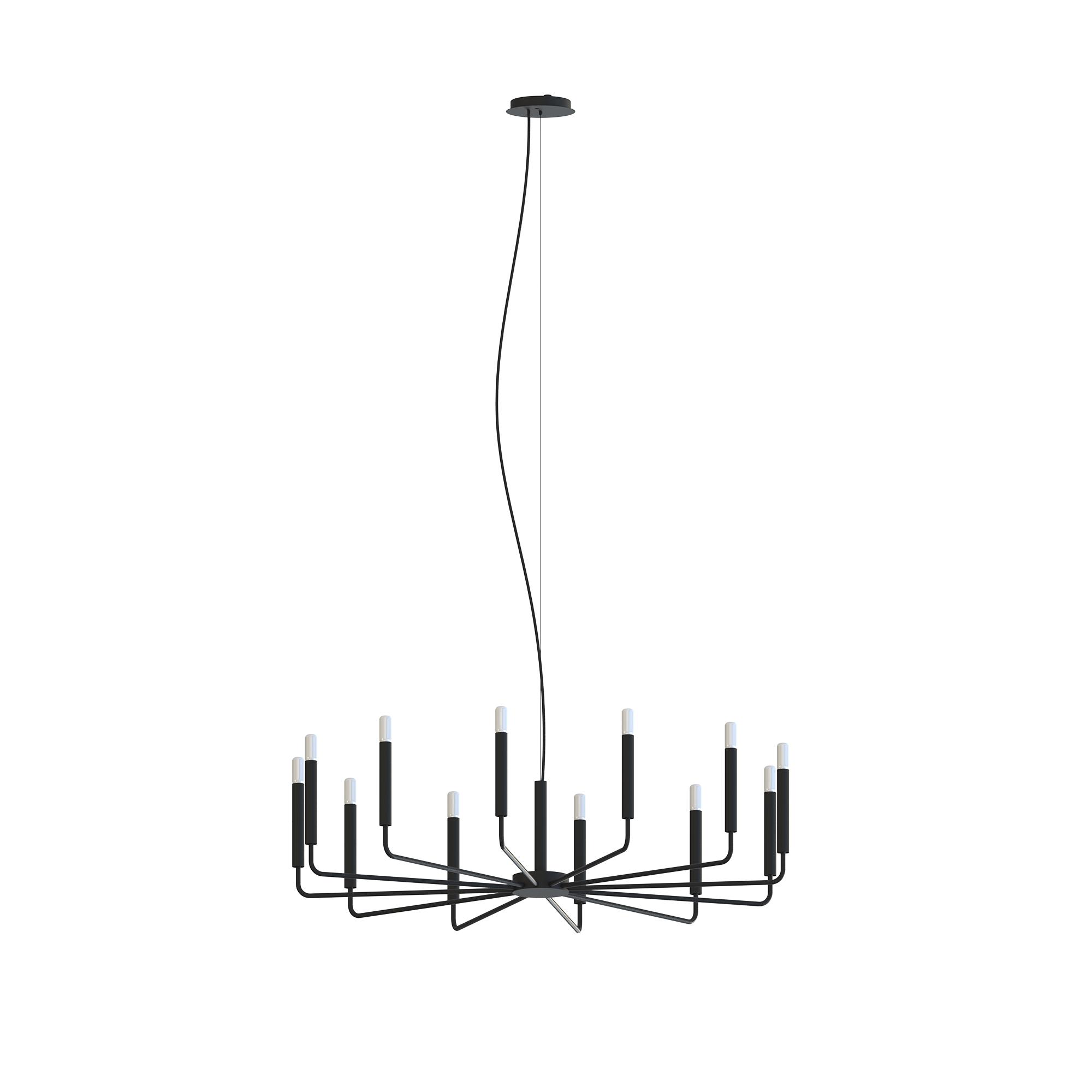 ORTO B 11464-0