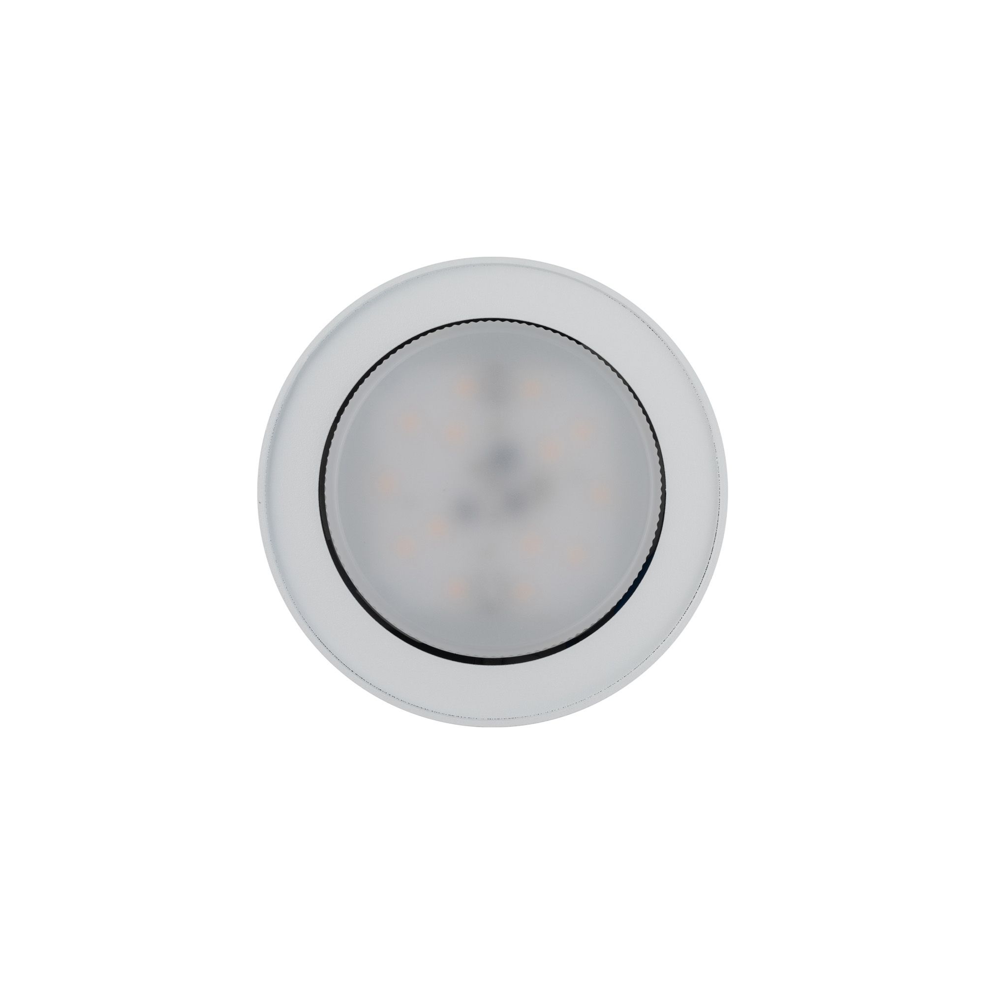 FLEA WHITE 8202