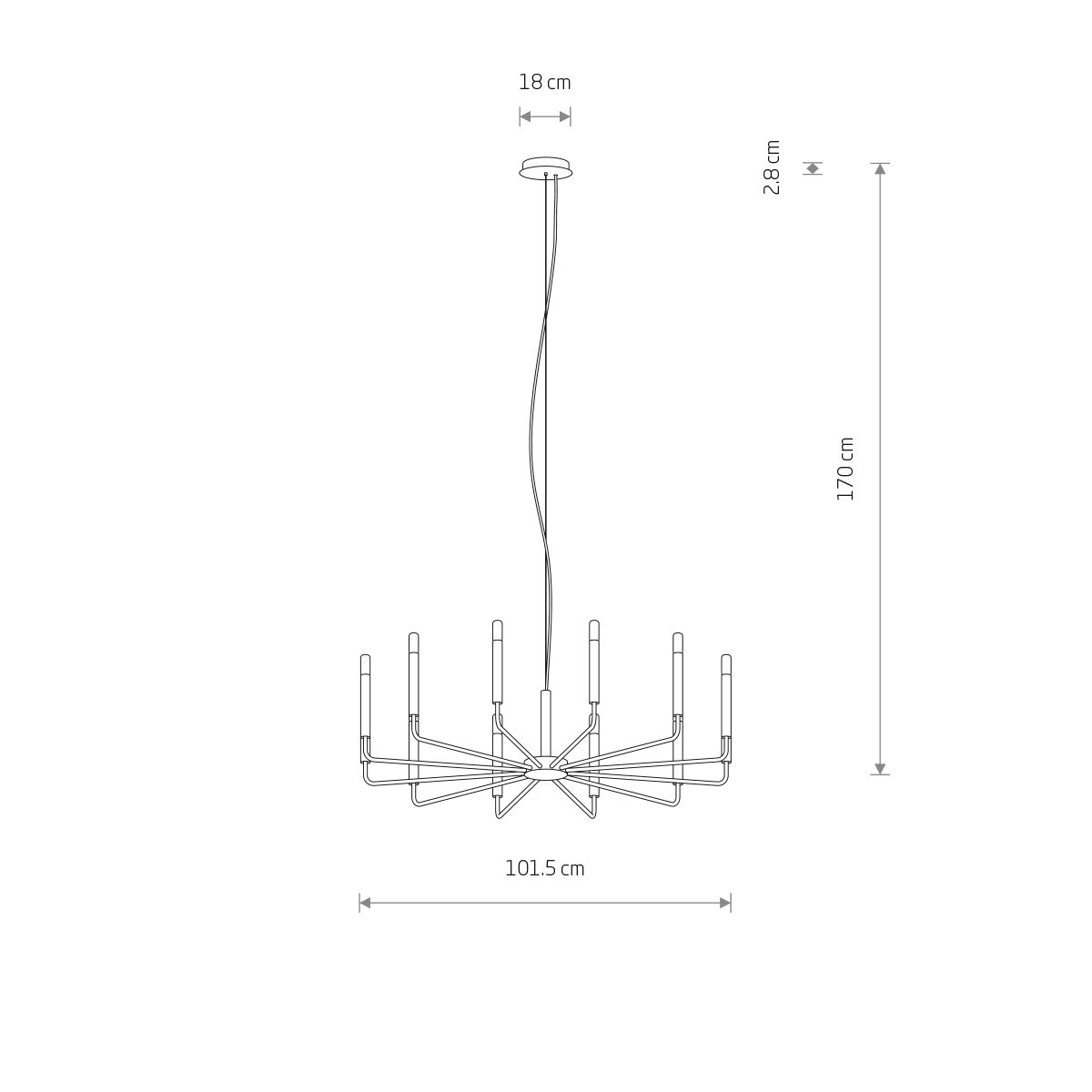 ORTO B 11464