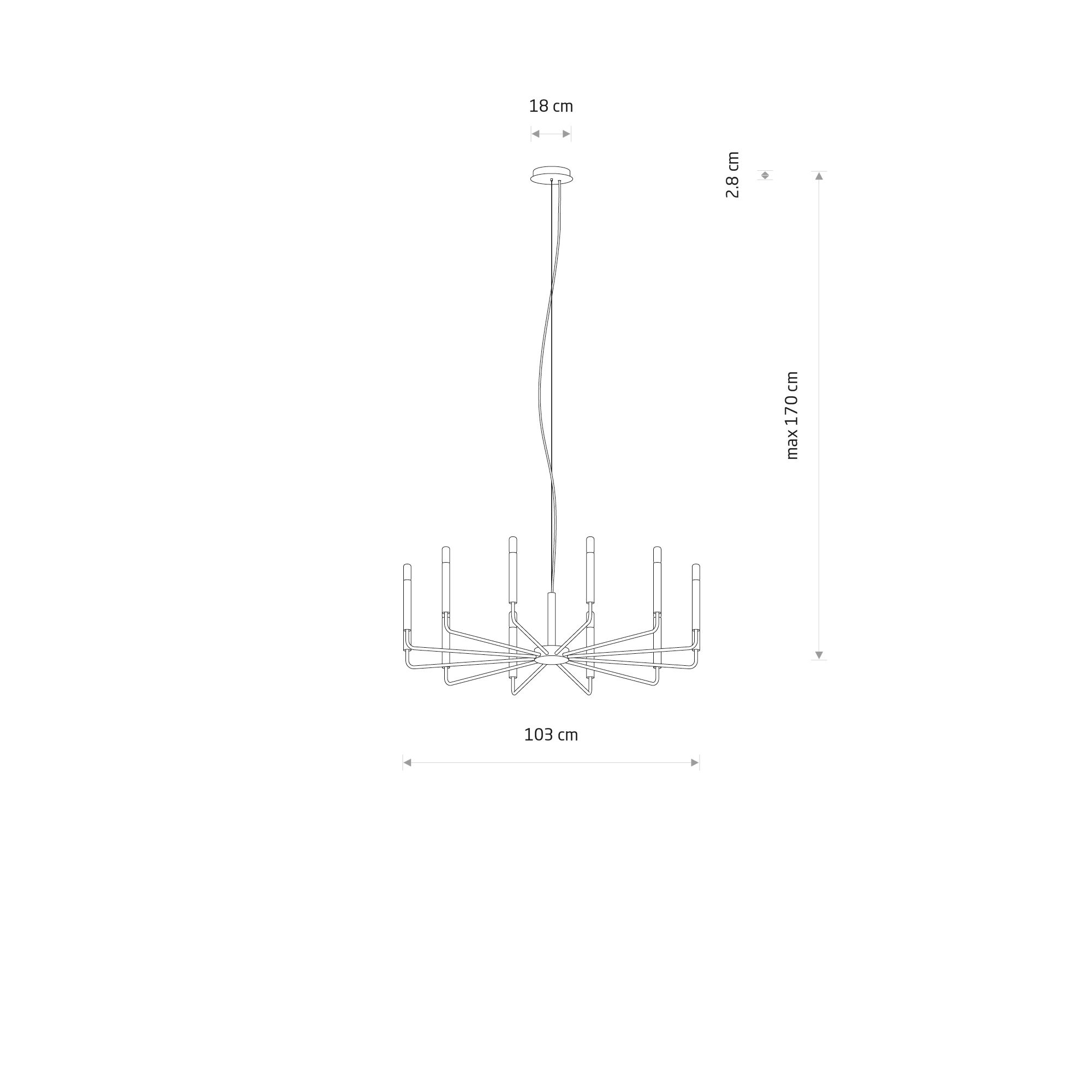 ORTO B 12526