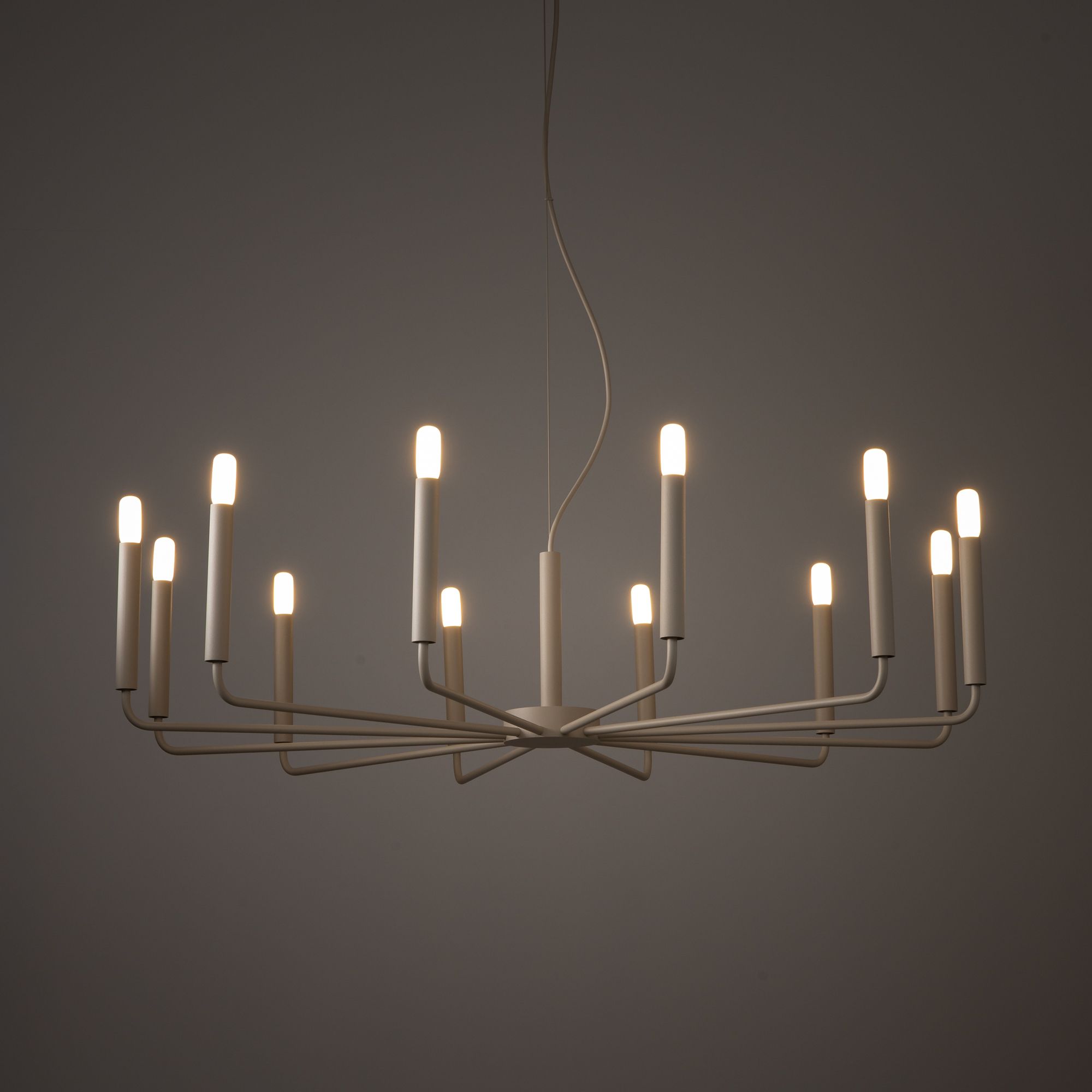 ORTO B 12526