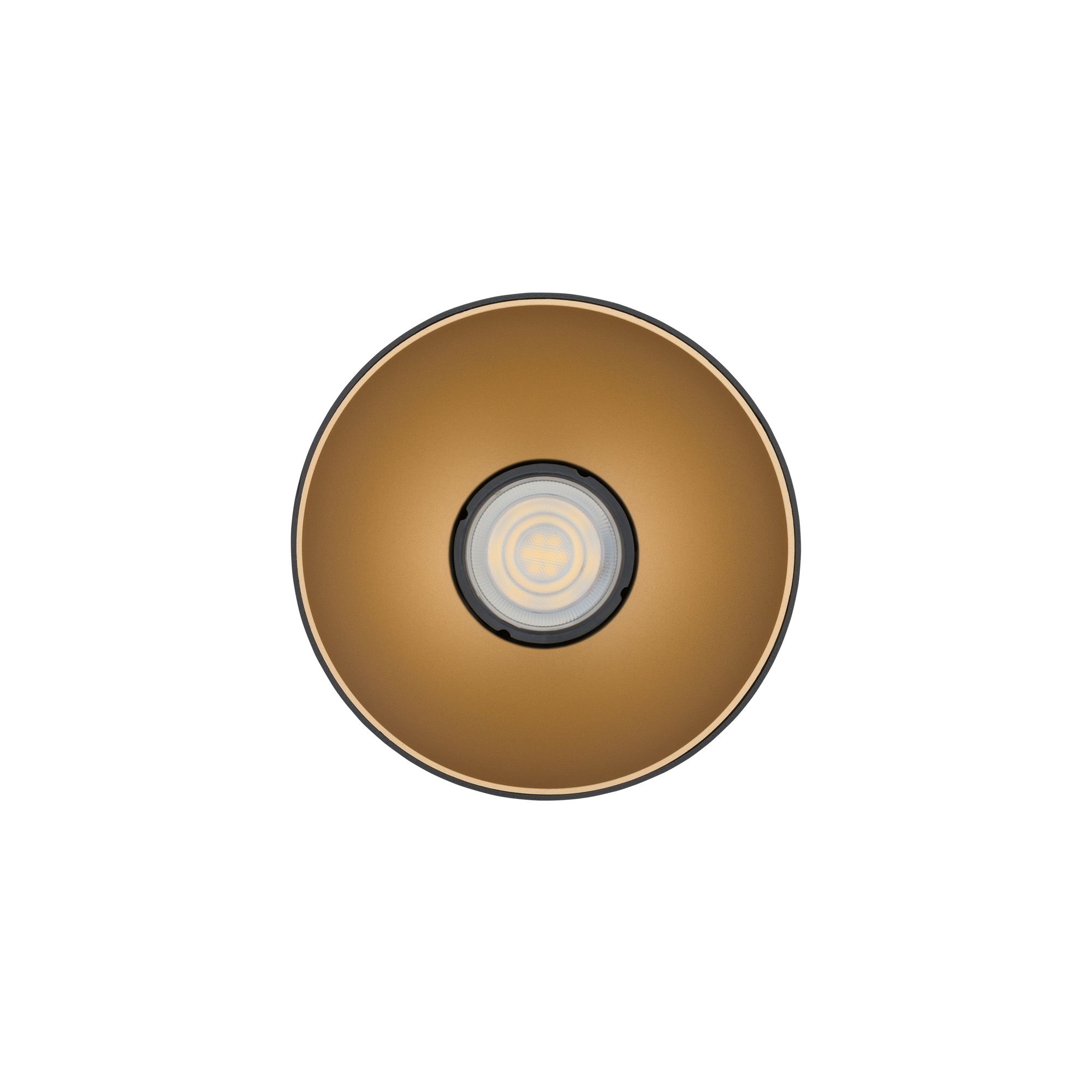 POINT TONE BLACK/GOLD 8224