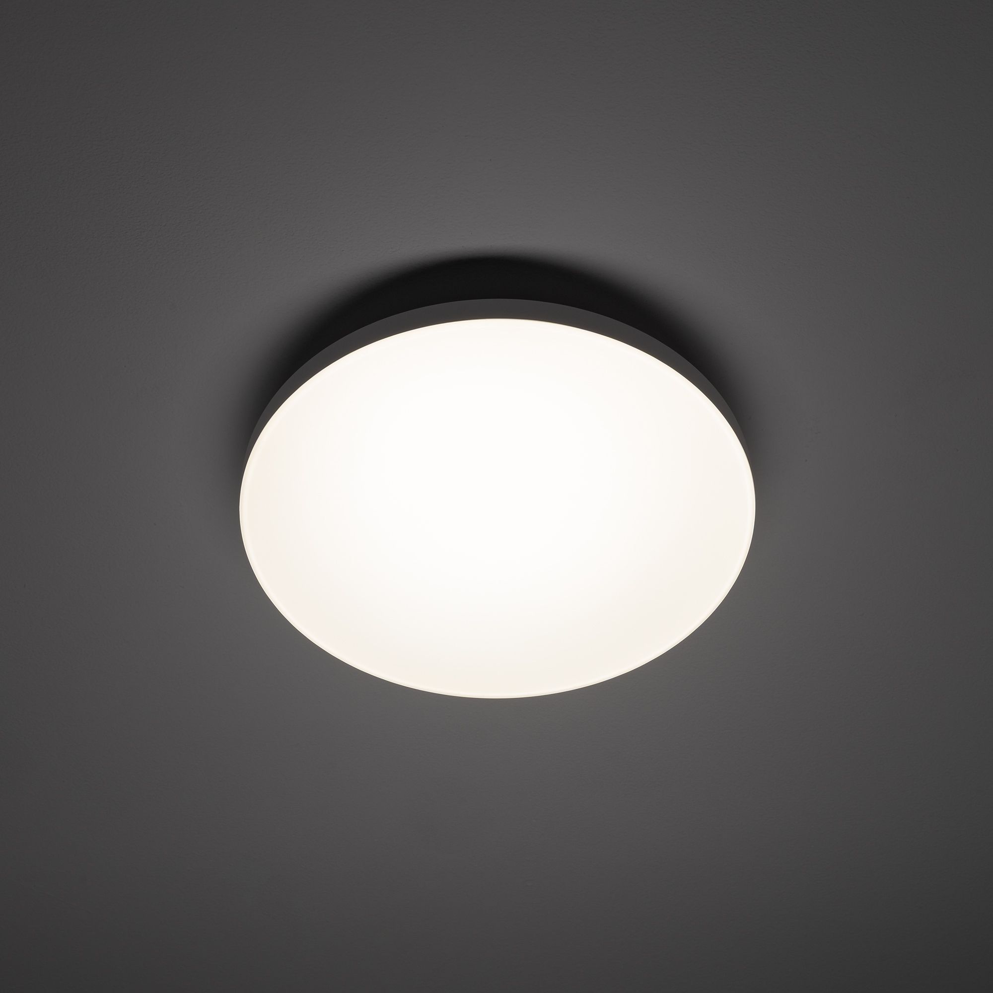 DENIA LED S 11754