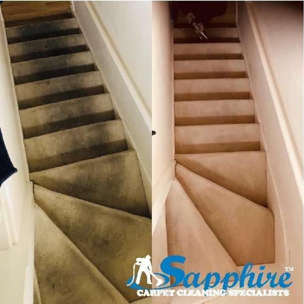 Professionally cleaned stair carpet in Chichester