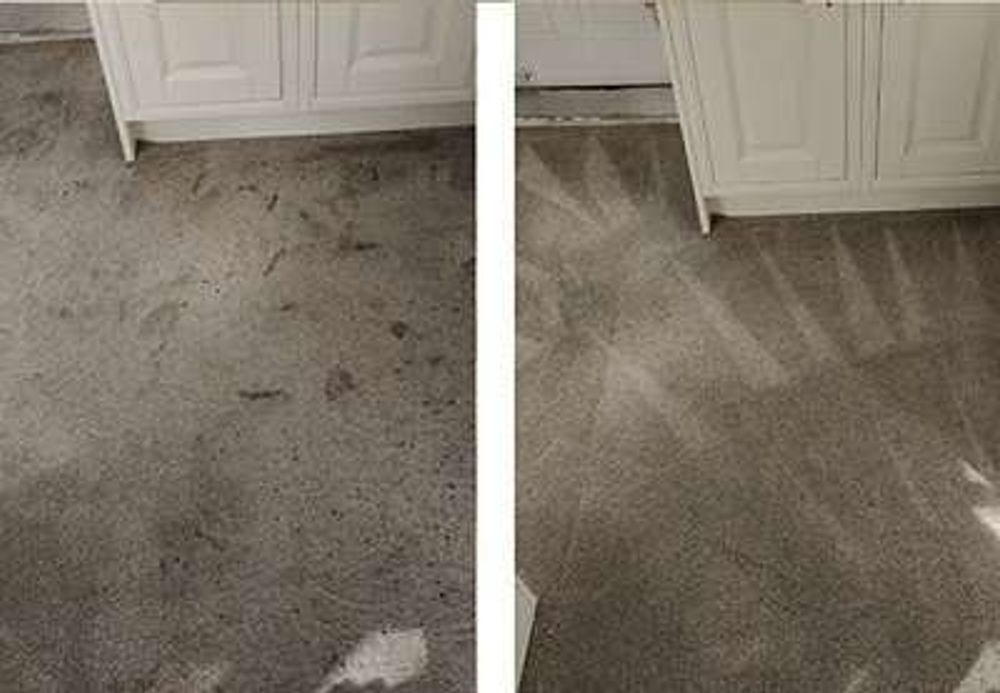 Professional carpet cleaners treating a carpet in a Sussex home