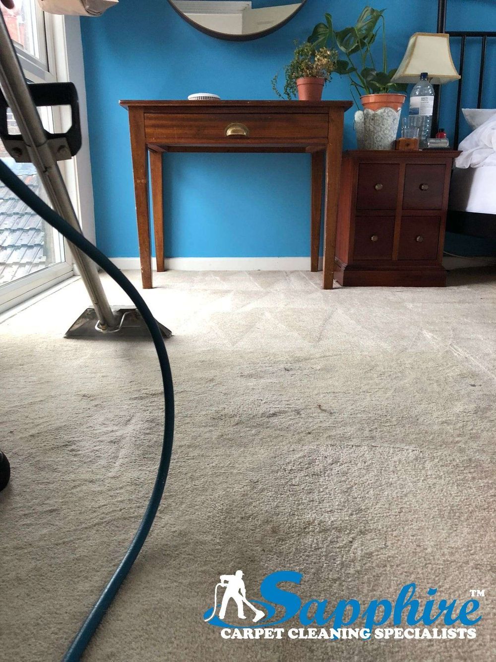 Carpet deep clean in progress, showing the dirty-to-clean contrast, in a Chichester home