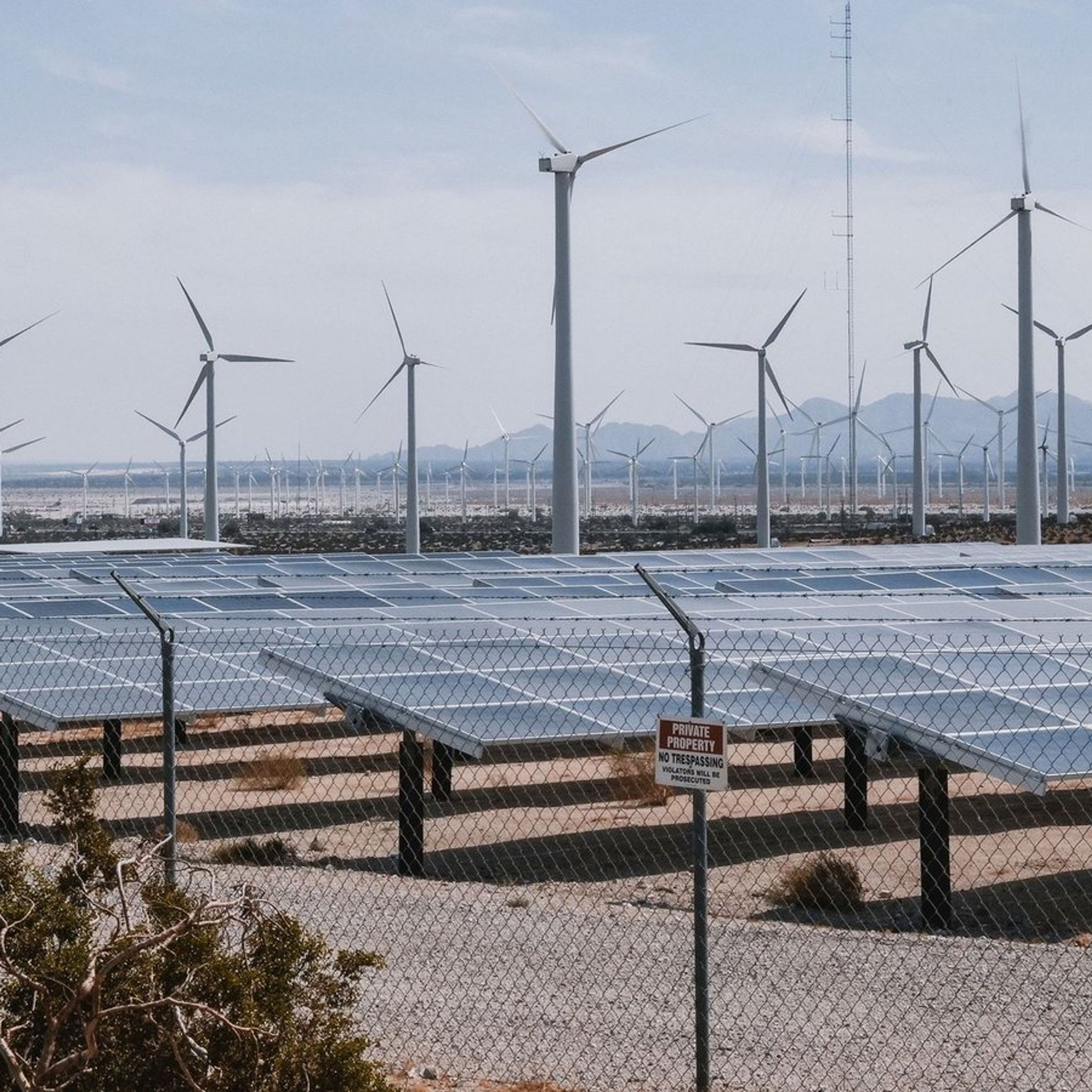 Usina solar em primeiro plano com parque eólico ao fundo.