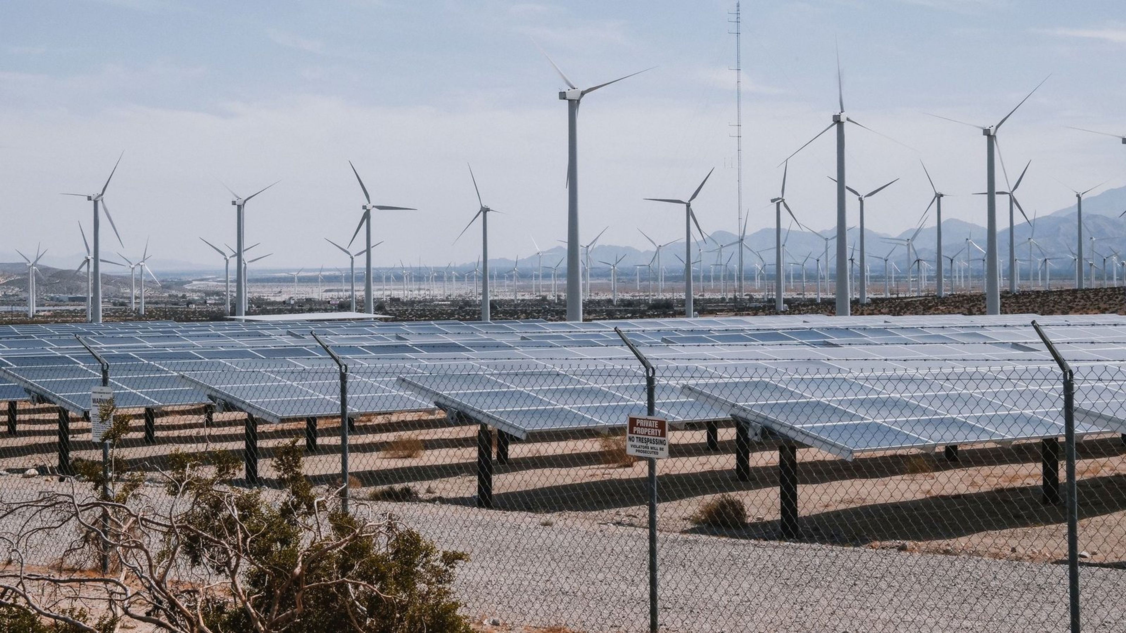 Usina solar em primeiro plano com parque eólico ao fundo.