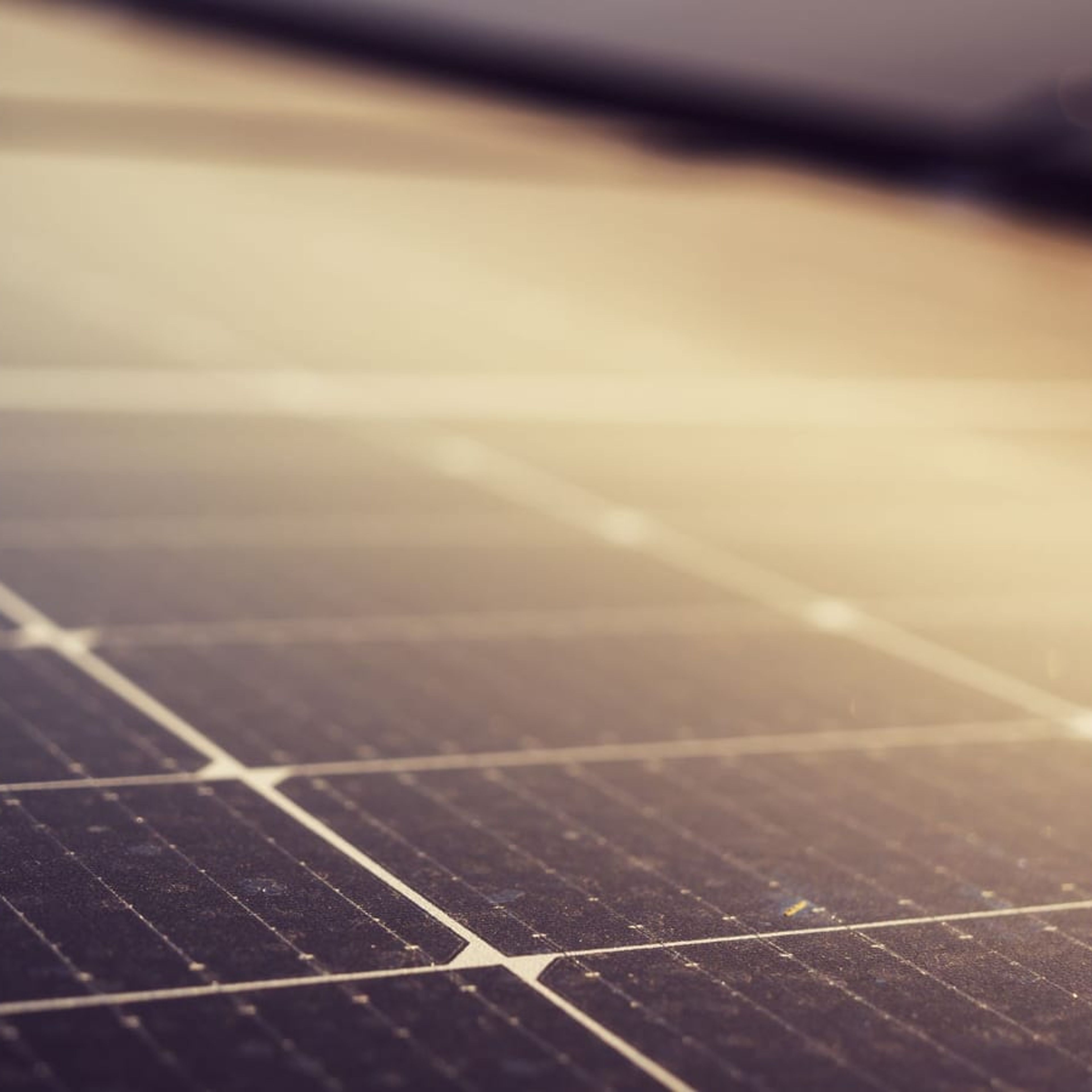 Close-up of a photovoltaic module surface covered in dust.