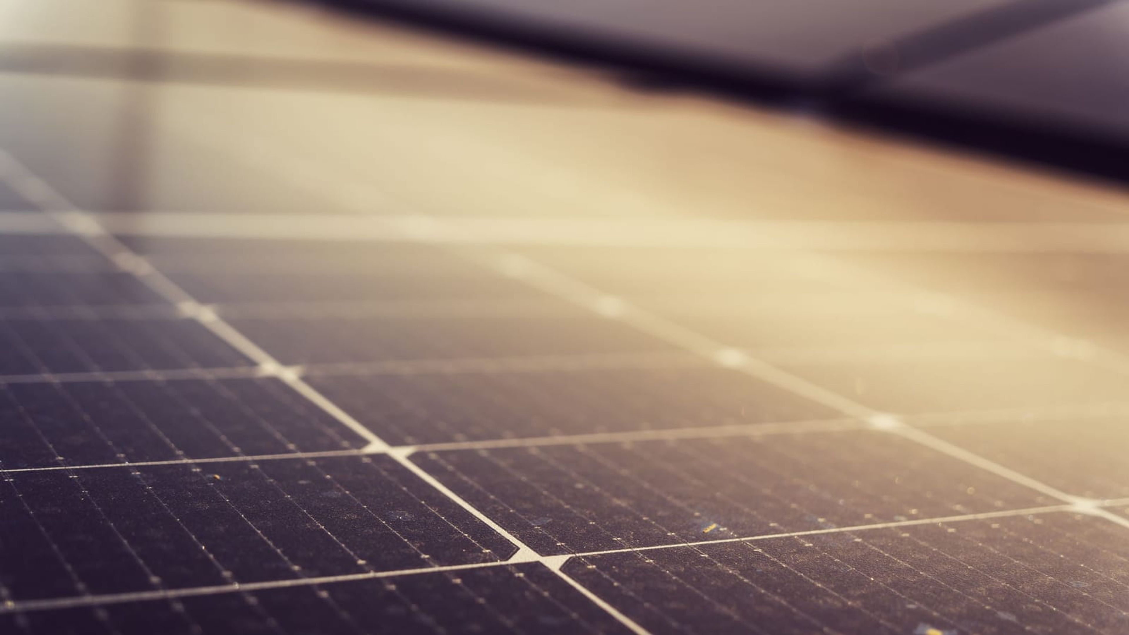 Close-up of a photovoltaic module surface covered in dust.
