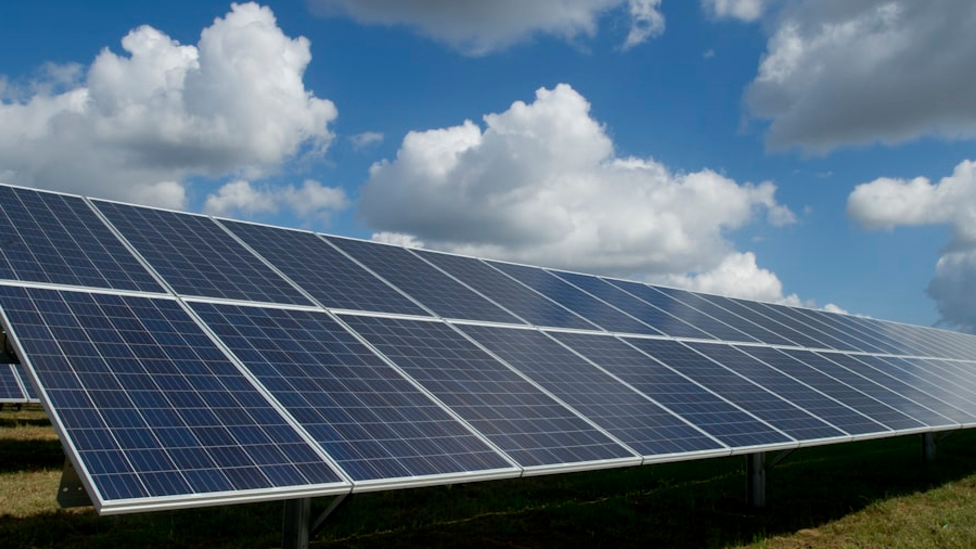 Fileiras de módulos fotovoltaicos em usina solar no solo.