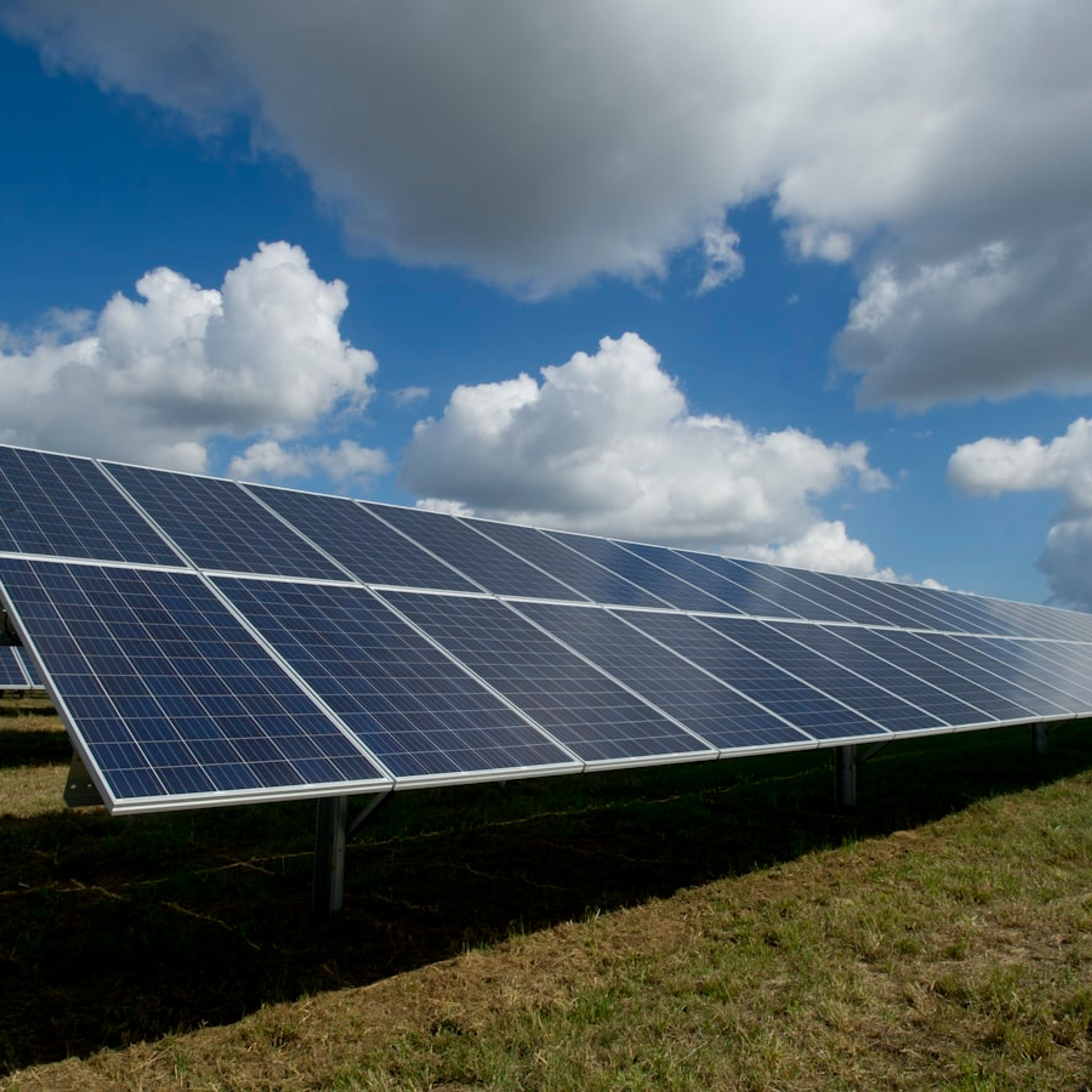 Fileiras de módulos fotovoltaicos em usina solar no solo.