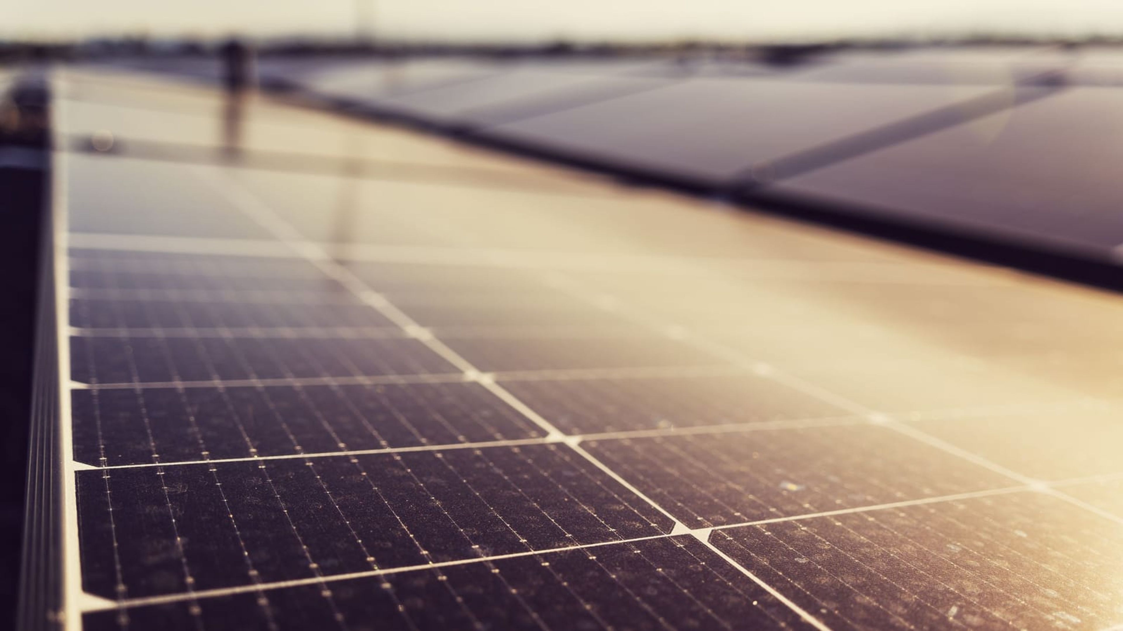 Superfície de módulos fotovoltaicos com sujidade acumulada ao entardecer.