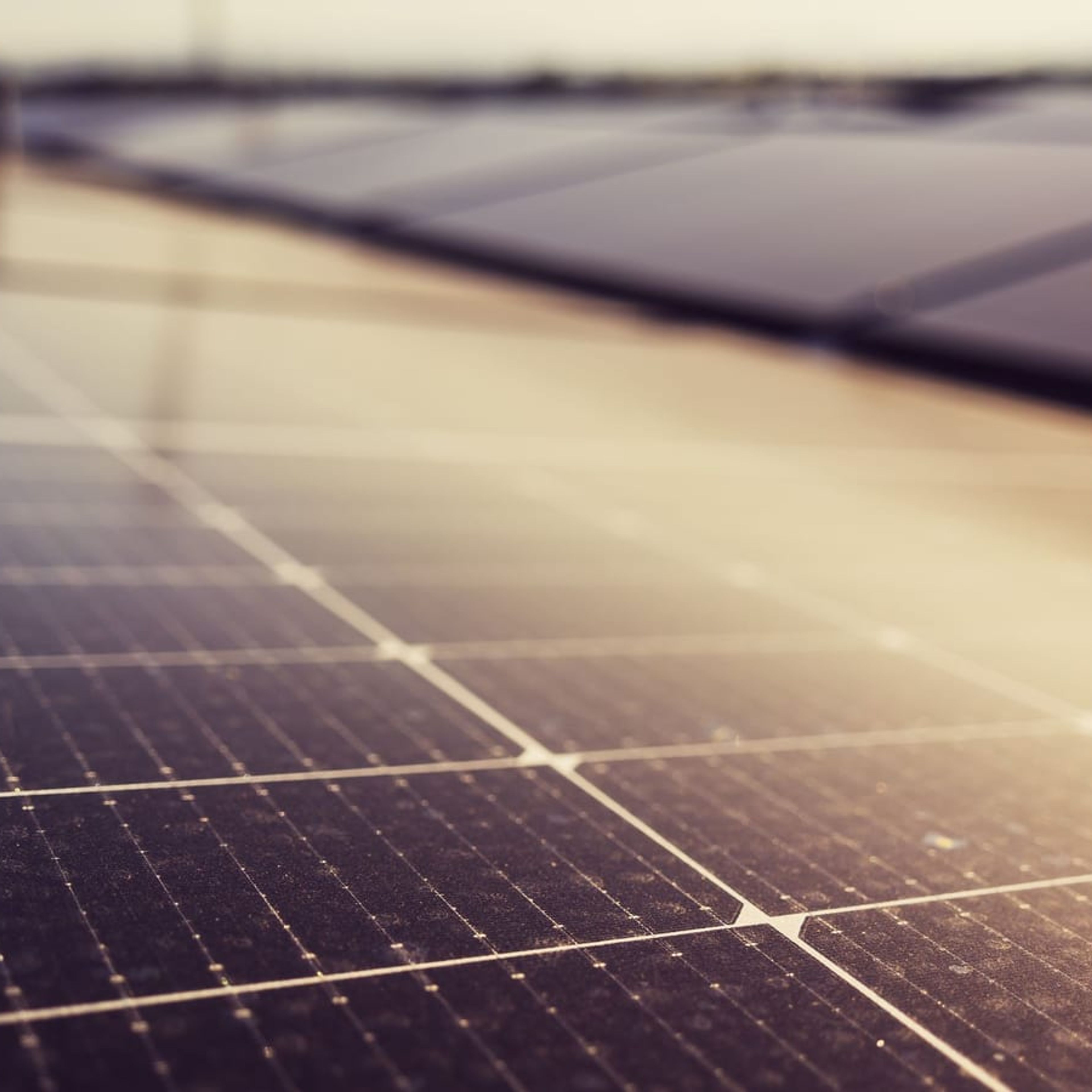 Superfície de módulos fotovoltaicos com sujidade acumulada ao entardecer.