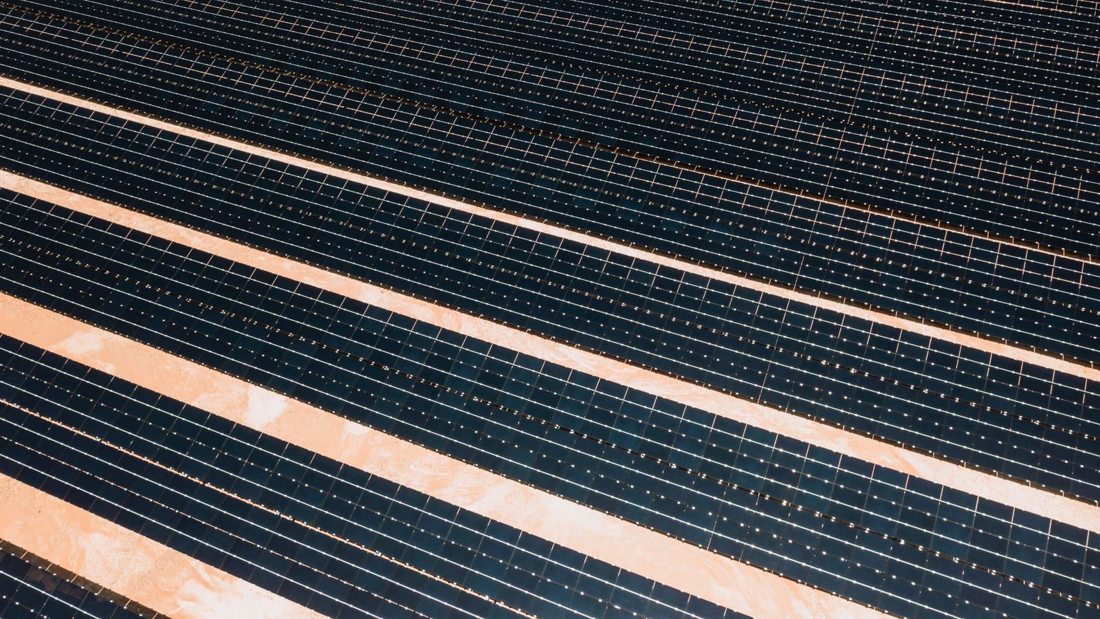 Vista aérea em diagonal das fileiras de módulos de uma usina fotovoltaica.