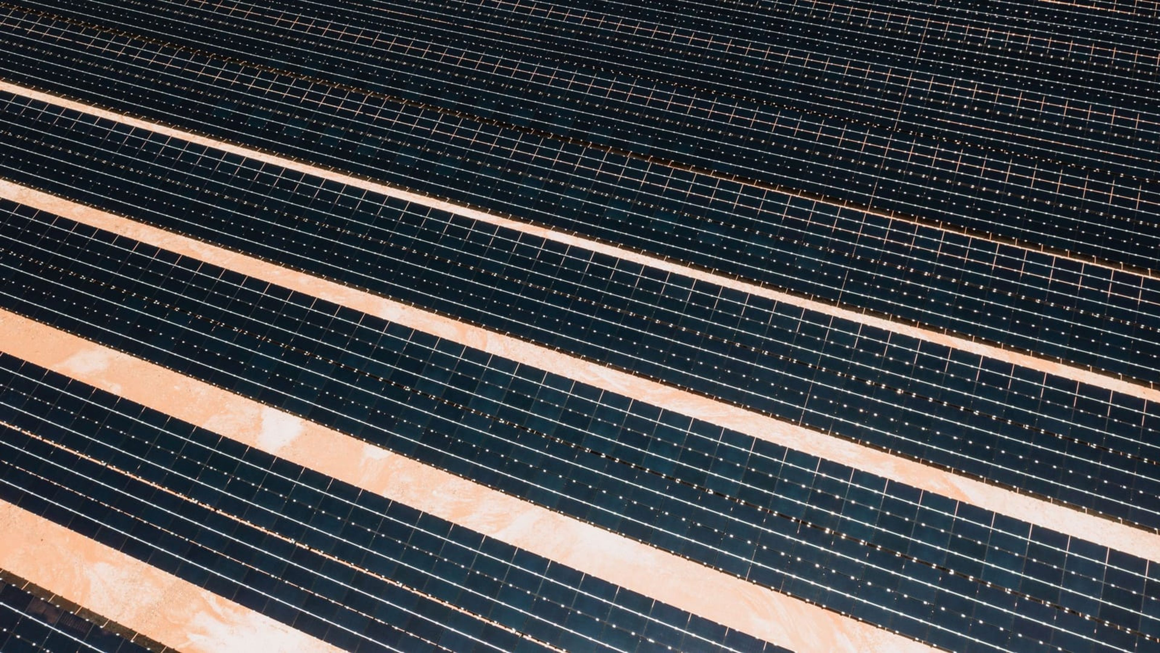 Vista aérea em diagonal das fileiras de módulos de uma usina fotovoltaica.