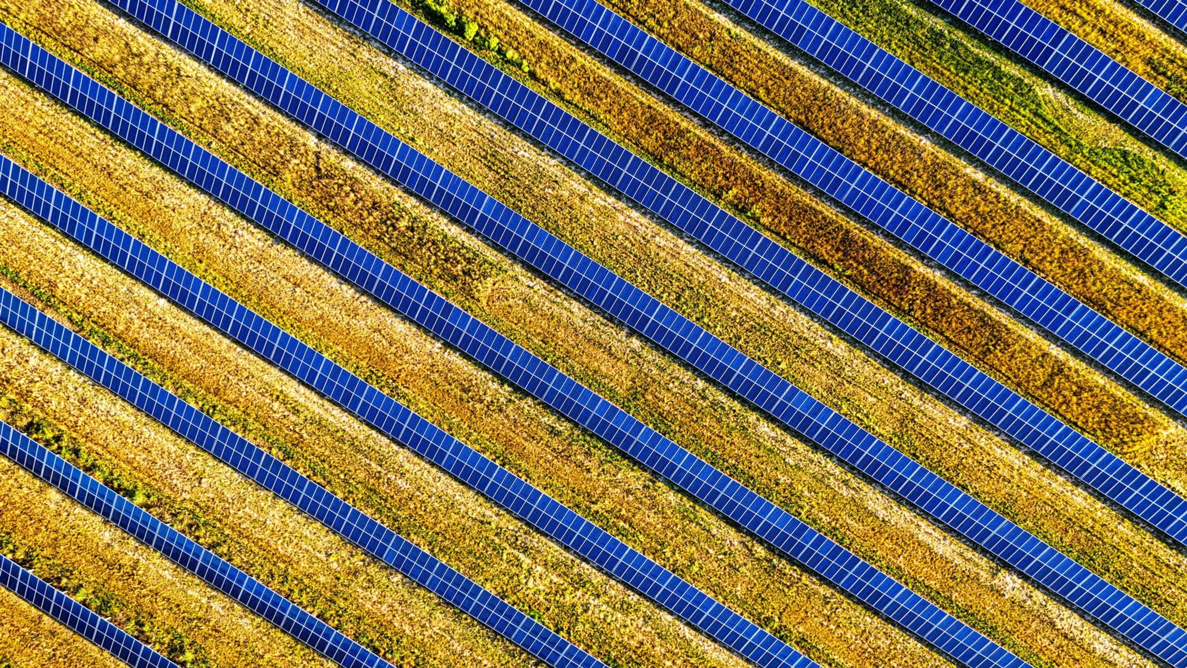 Vista aérea de fileiras de módulos fotovoltaicos entre campos cultivados.