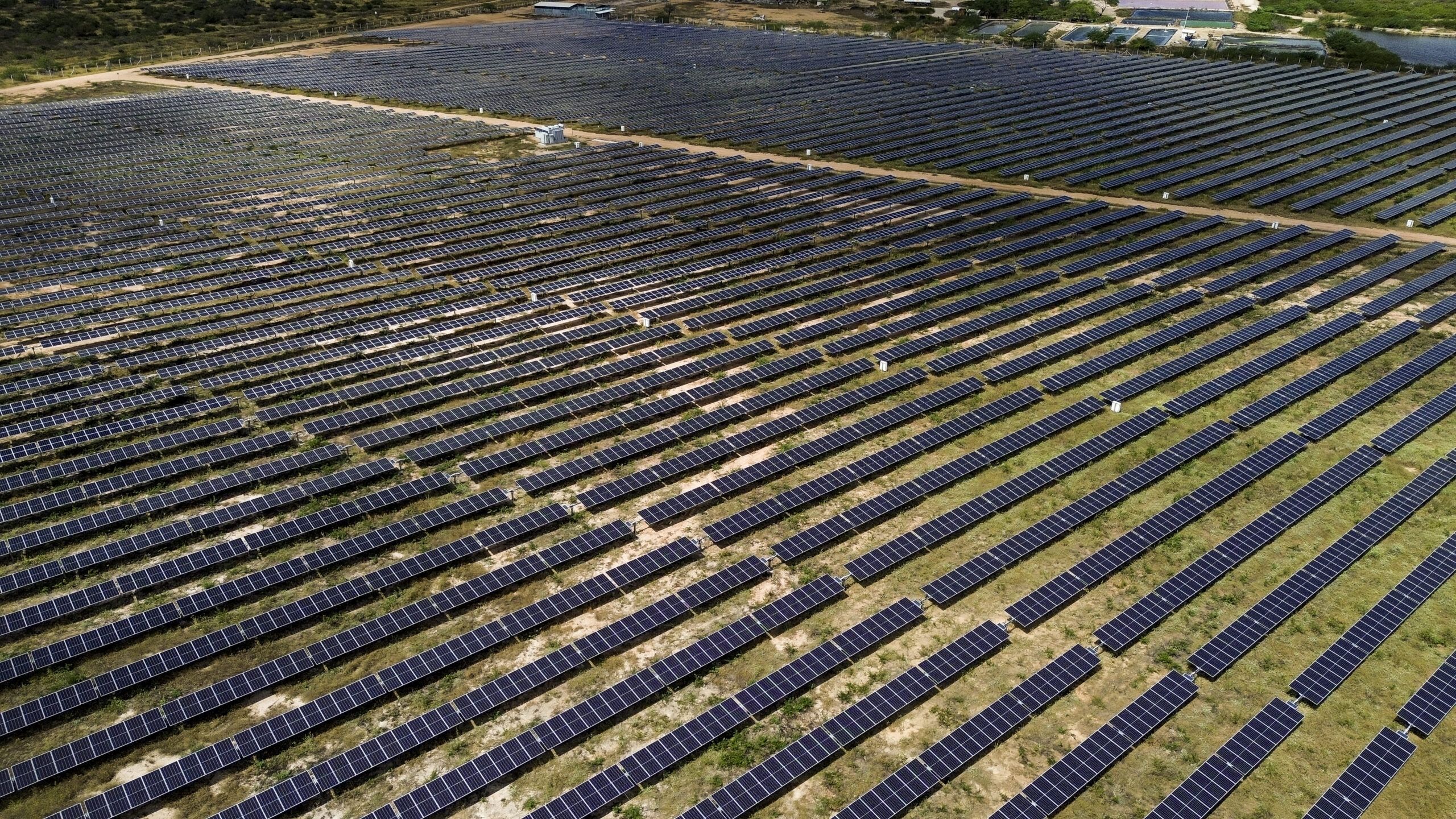 Usina solar de grande porte vista de cima, com longas fileiras de modulos.