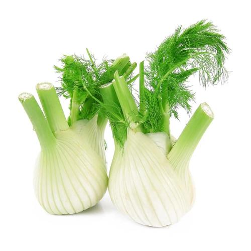 Fennel sweet