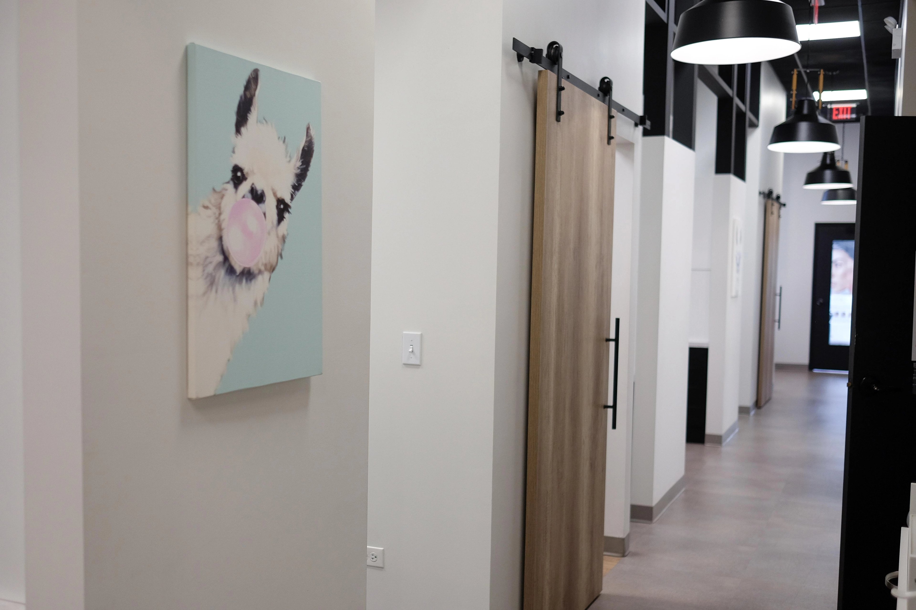 A white hallway at The Dental Standard with sliding wood barn doors, black pendant lights, and a painting of a llama blowing a pink bubble on the wall.