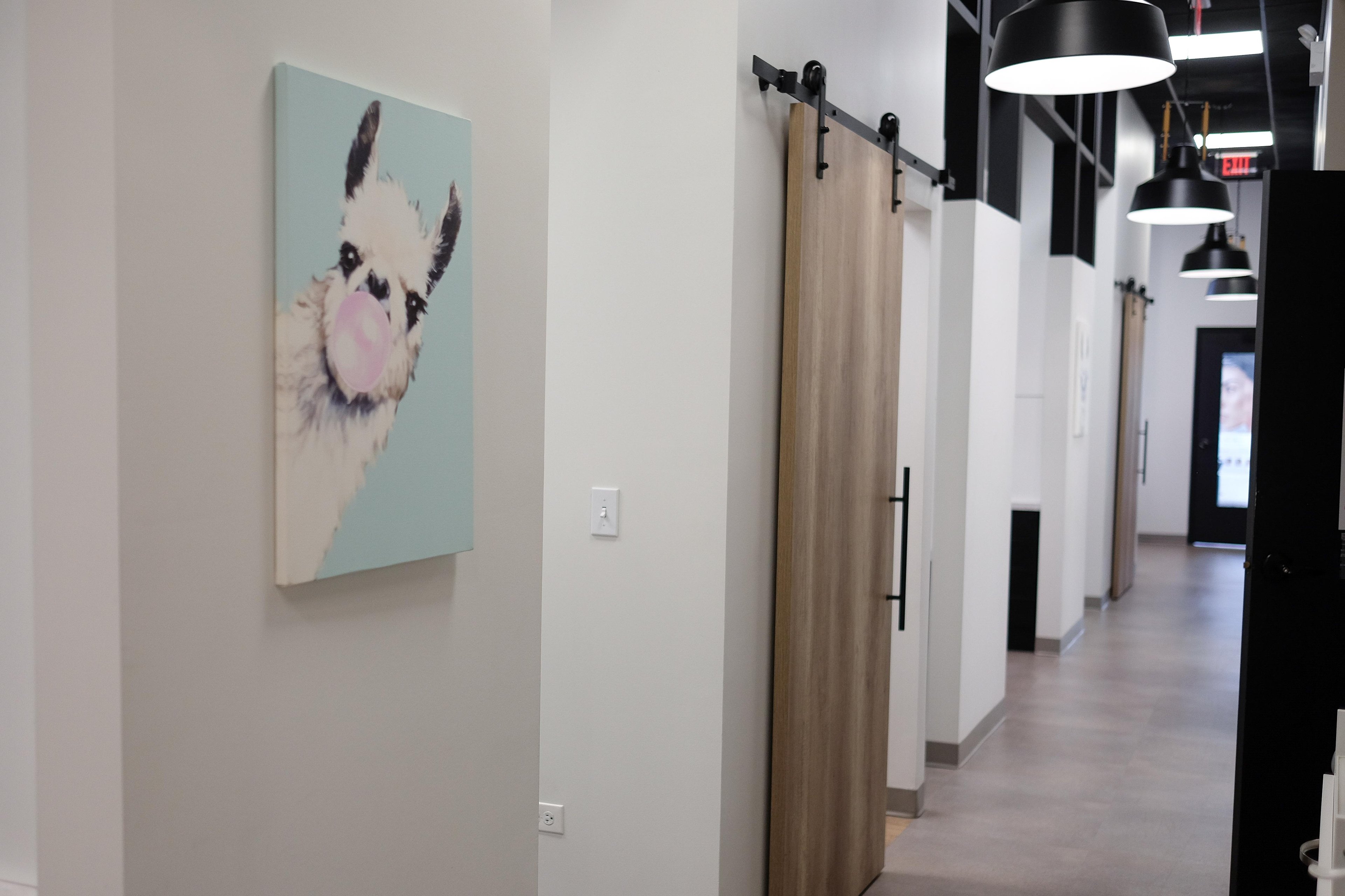 A white hallway at The Dental Standard with sliding wood barn doors, black pendant lights, and a painting of a llama blowing a pink bubble on the wall.