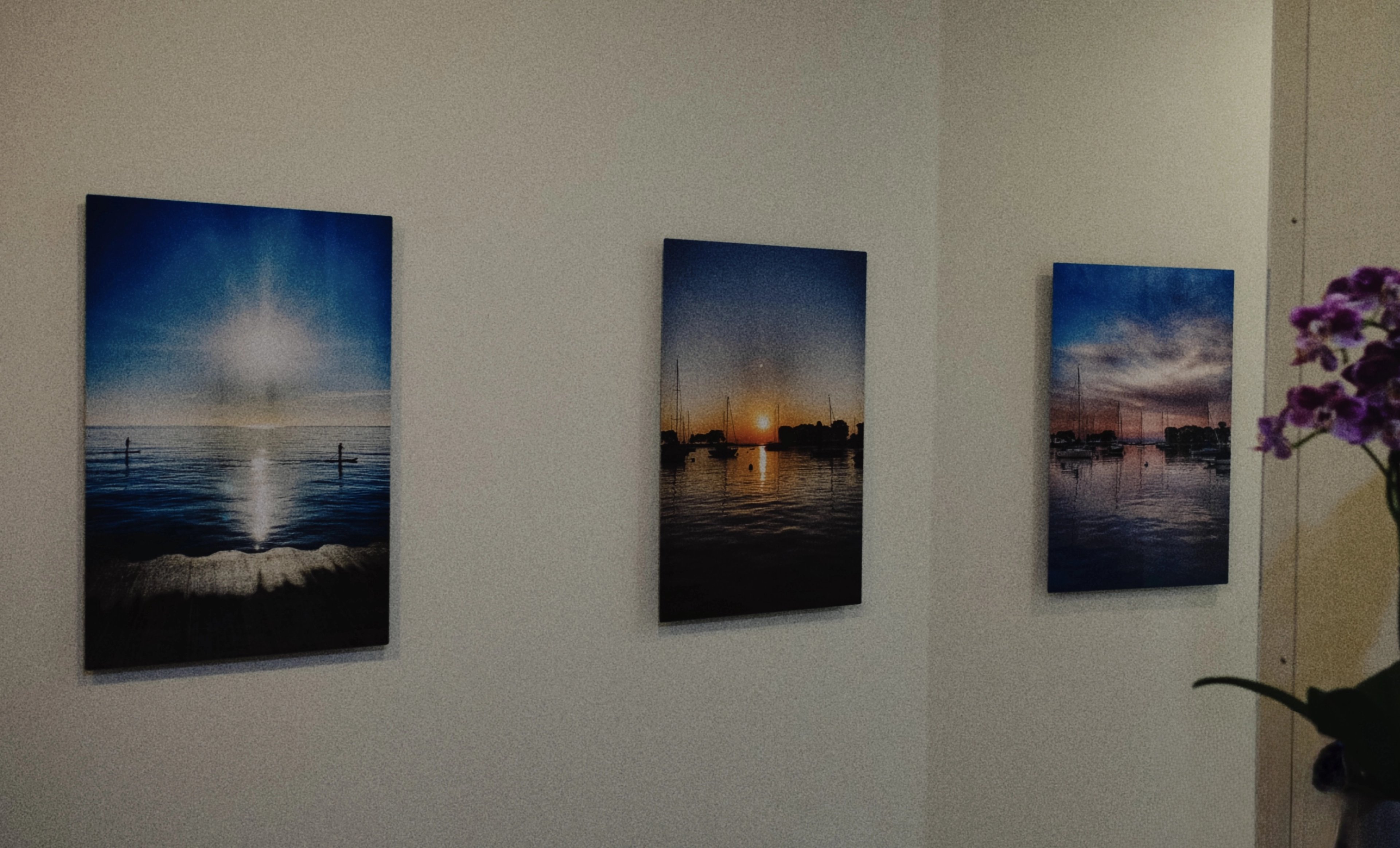 Three of Louis's photographs hung on a wall of the practice, water and sky in each.