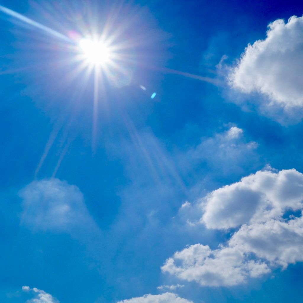 vitamin d and the immune system Cyrano